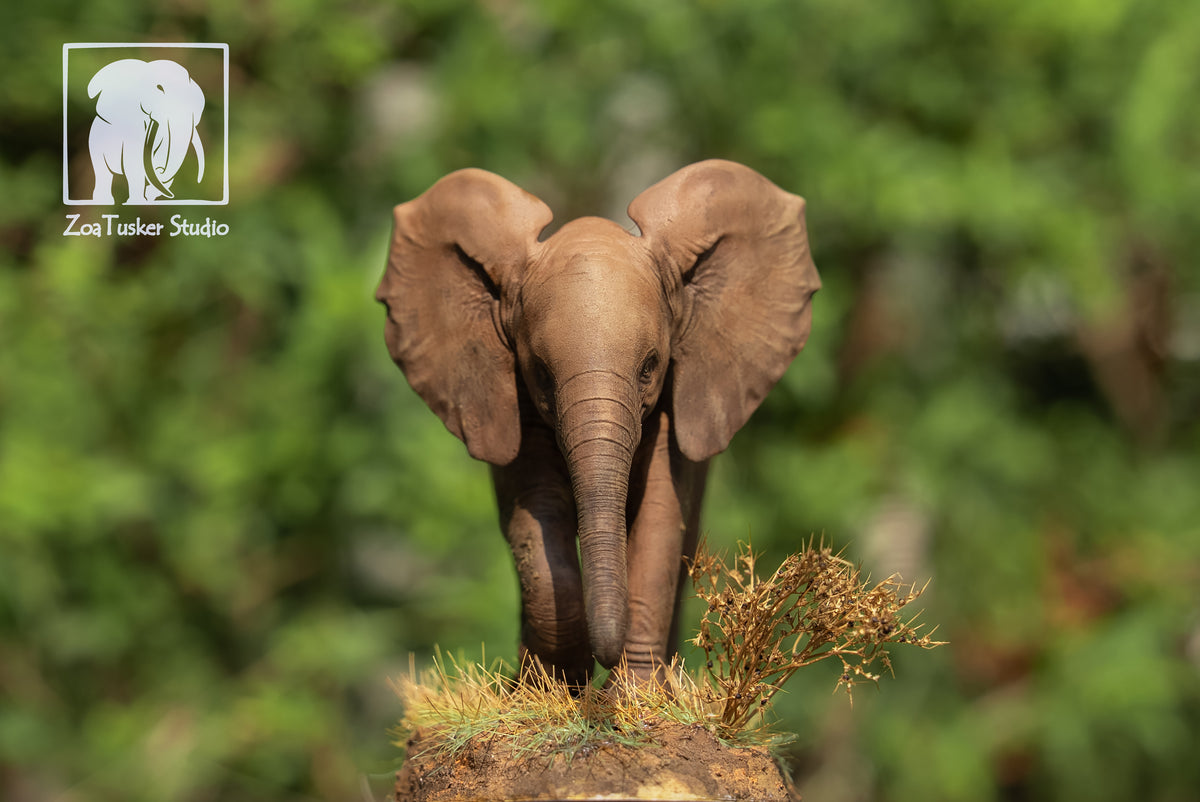 ZoaTusker Studio African Elephant Queen Dida Model
