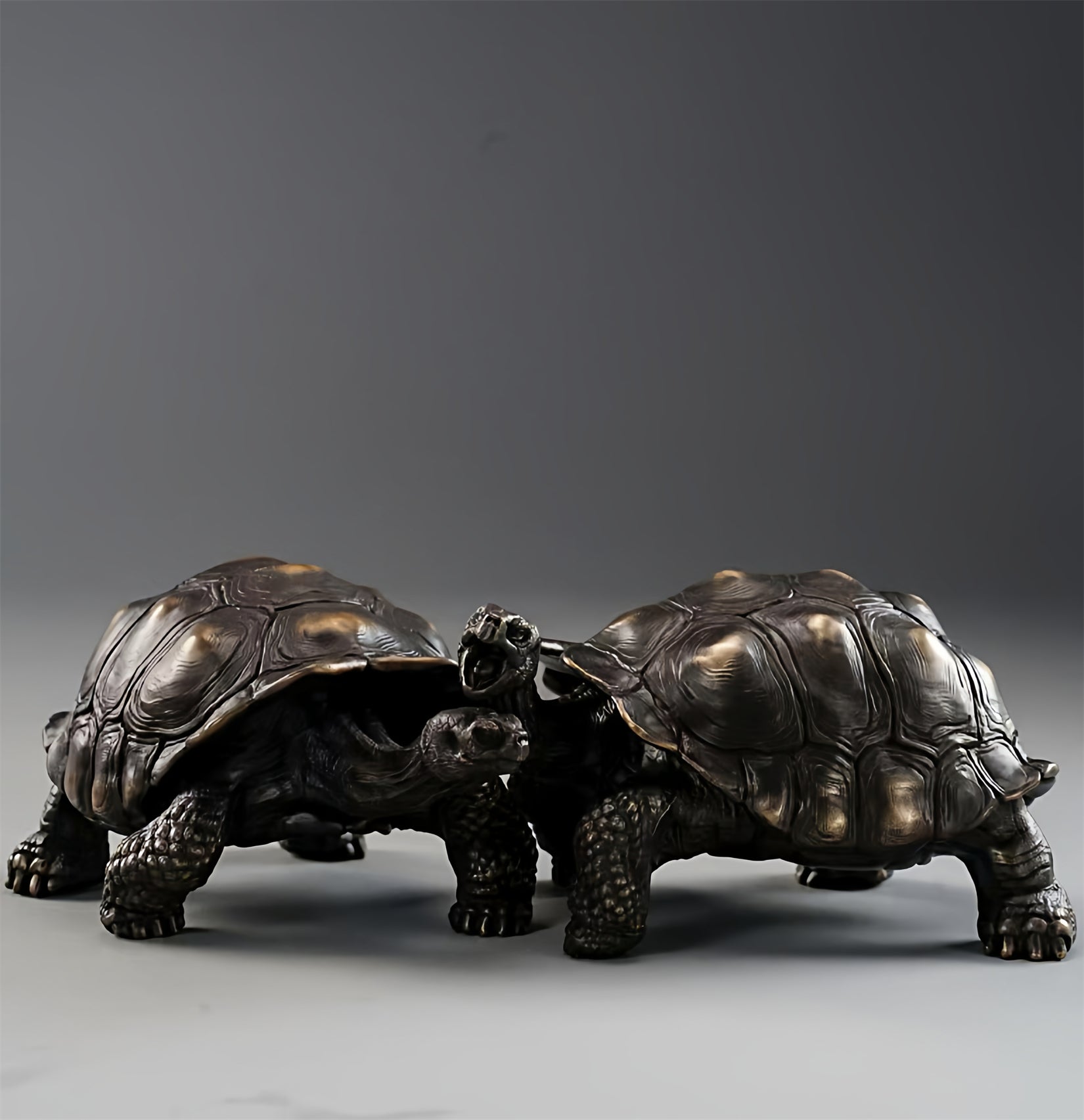 BOWUZHI Studio Plus Chelonoidis Galapagoensis Model