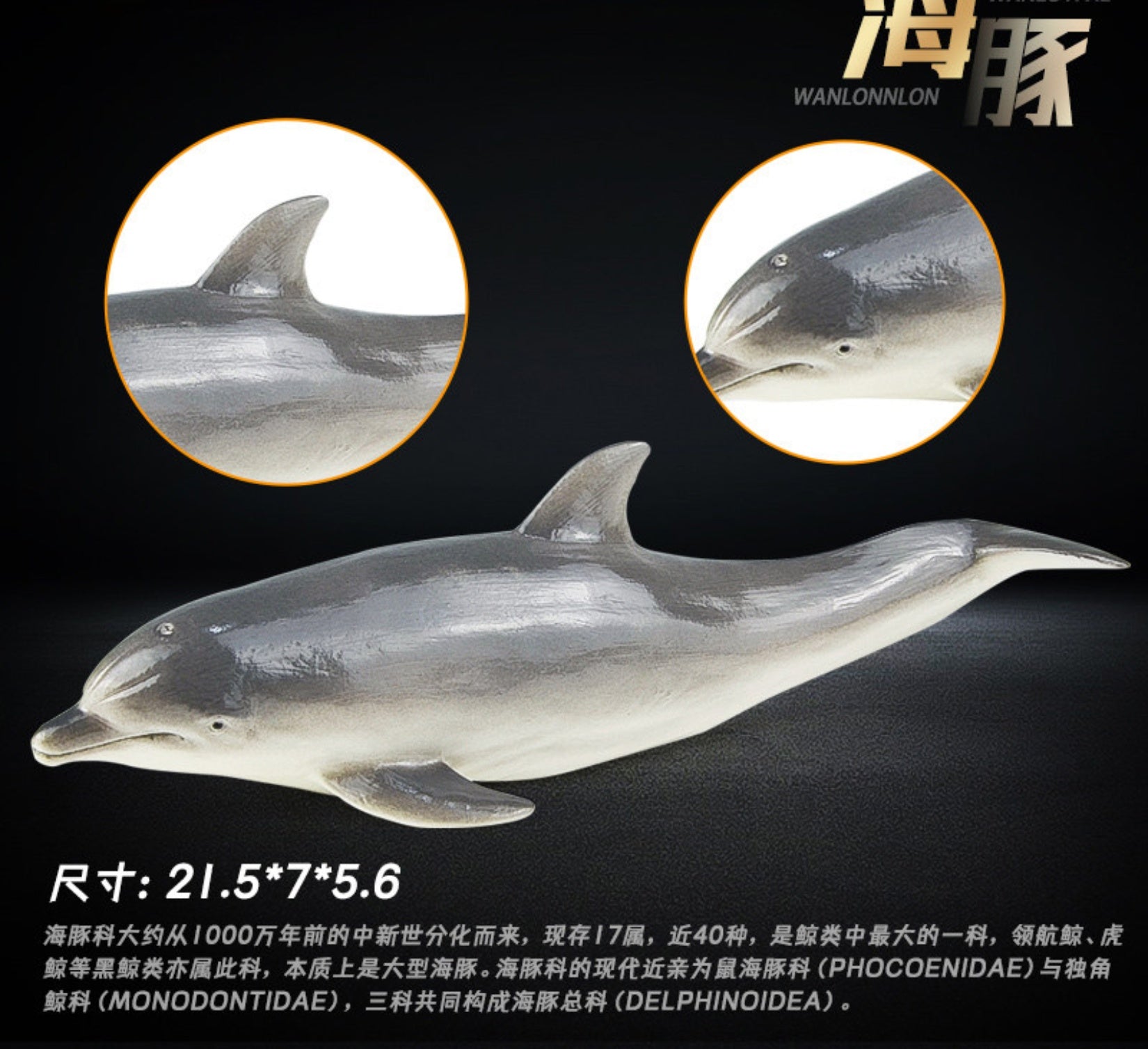 RECUR Dolphin Model Marine Animal