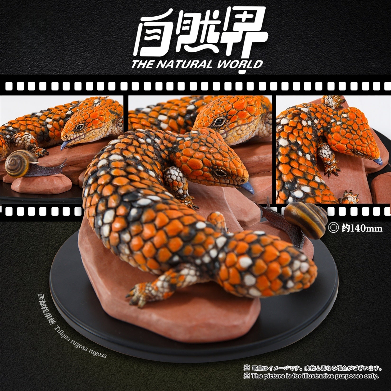 Animal Planet Trachydosaurus Rugosus Model