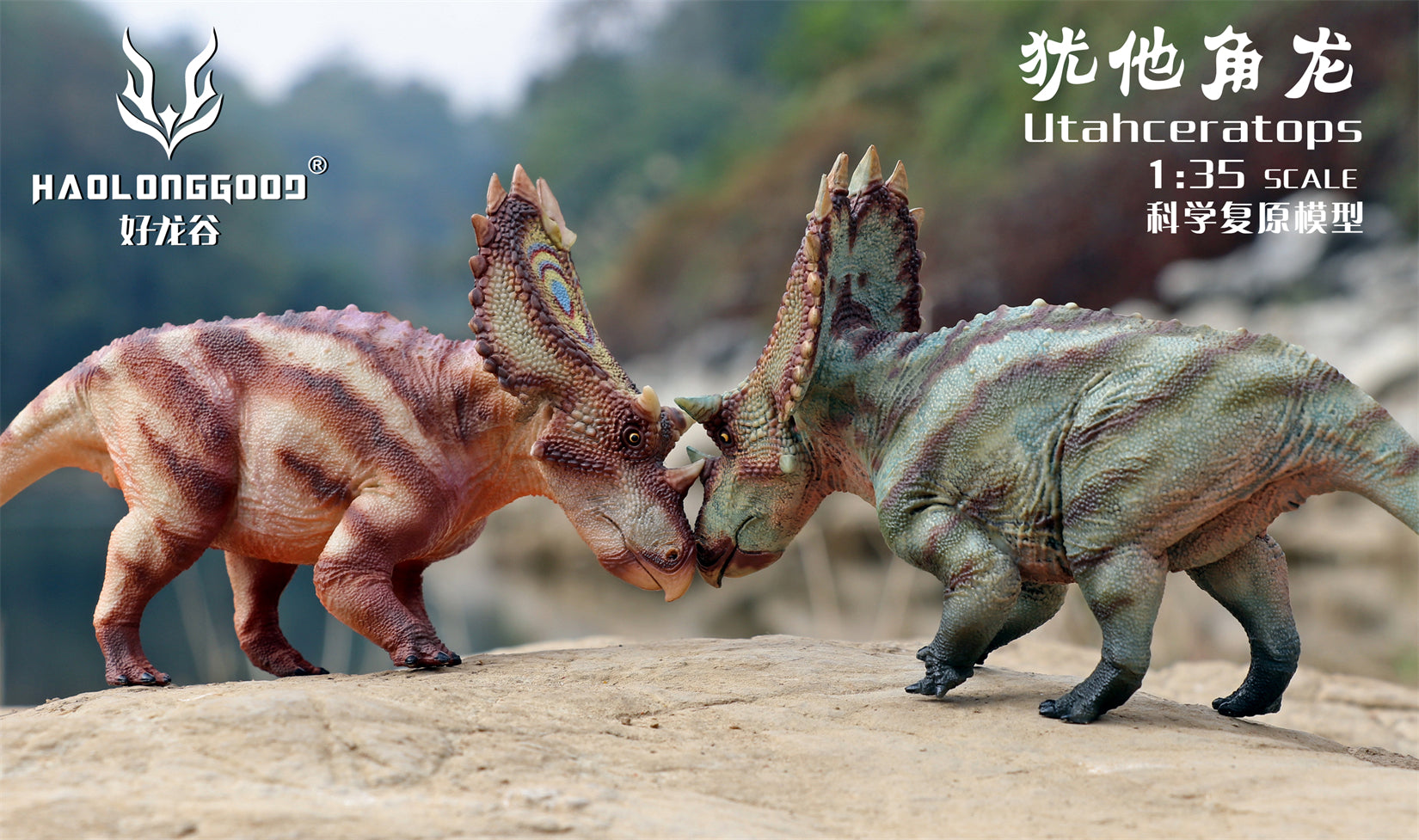 HAOLONGGOOD 1:35 Scale Utahceratops Model