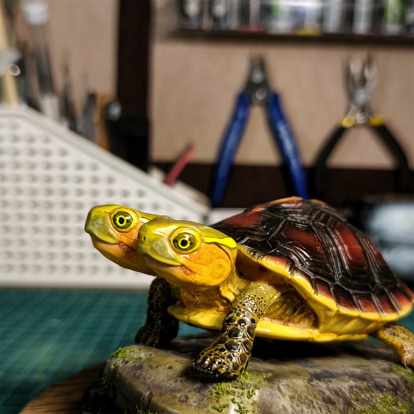 Two-headed Yellow-margined Box Turtle Model
