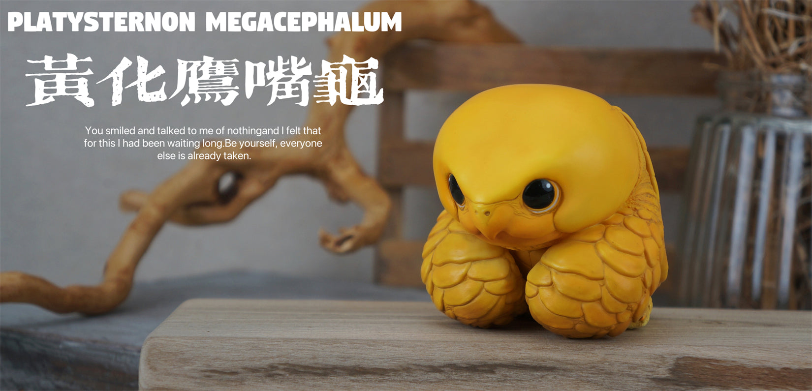 Schildkröten-Serie Tiermodell