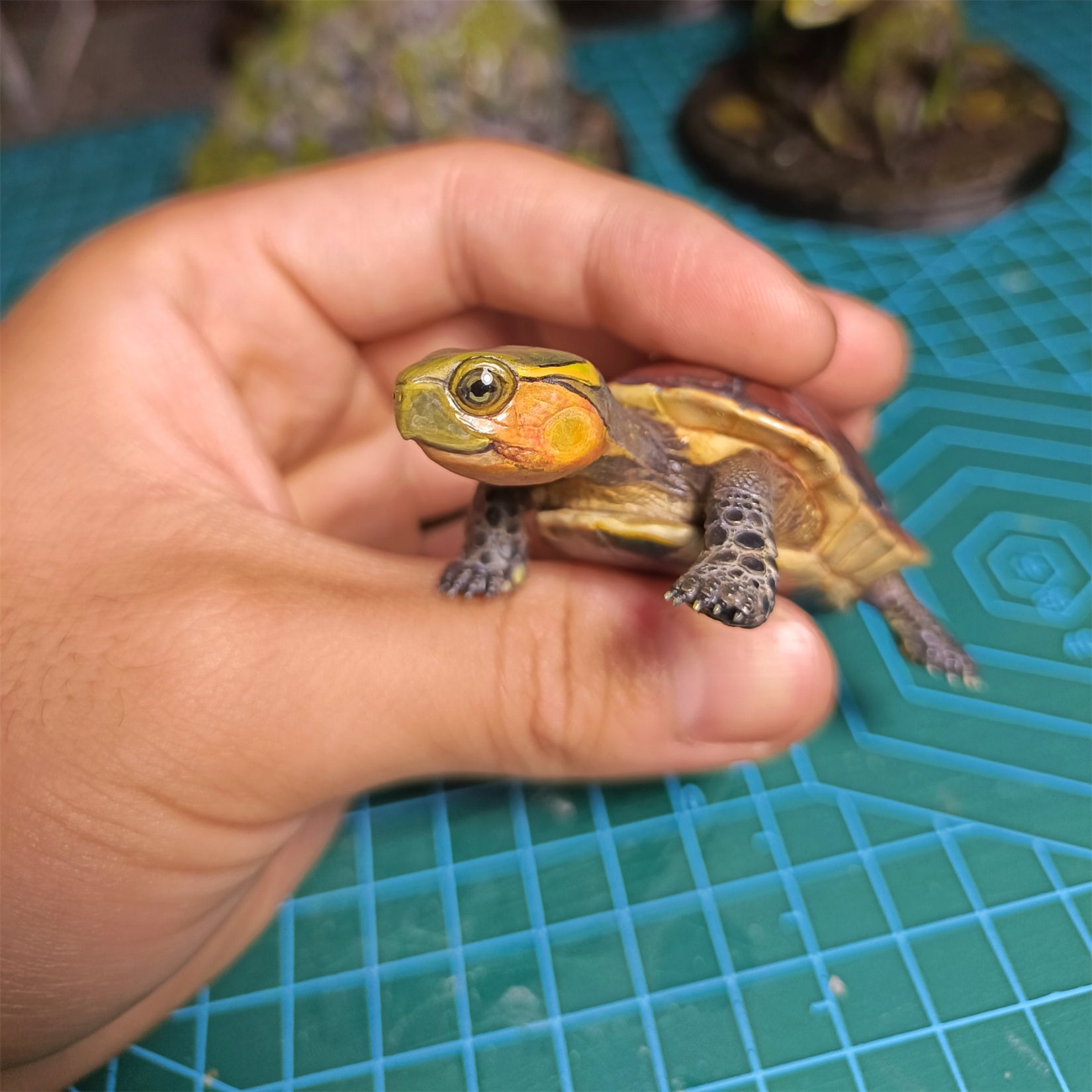 Yellow-margined Box Turtle Baby Model