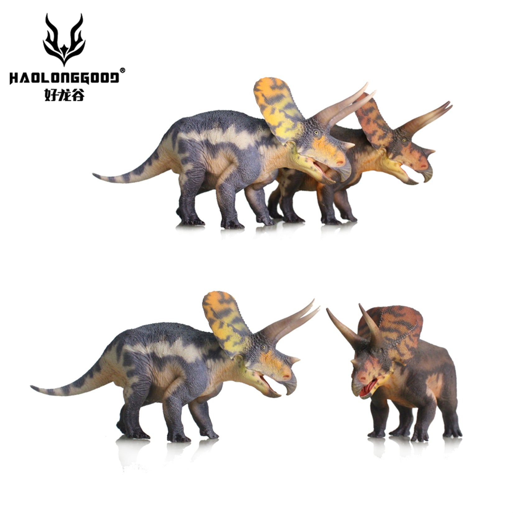 HAOLONGGOOD 1:35 Scale Torosaurus Model