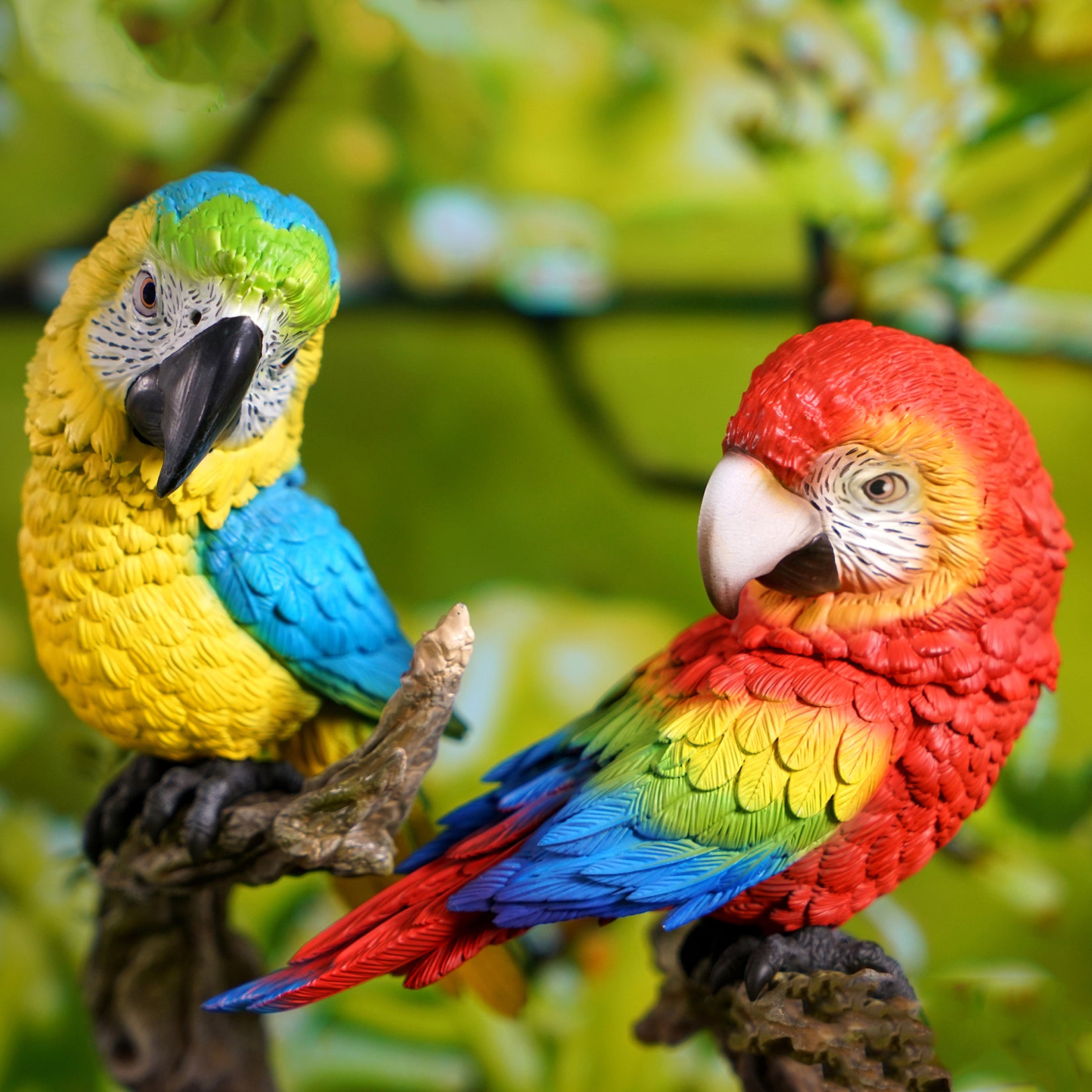 Ara Ararauna & Ara Macao Parrot Model