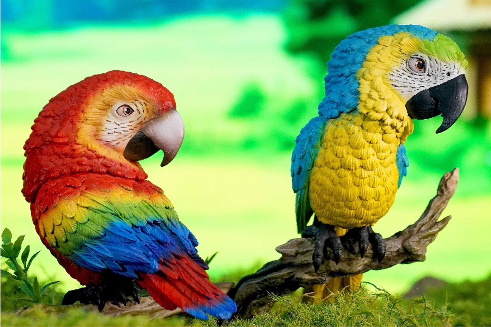 Ara Ararauna & Ara Macao Parrot Model