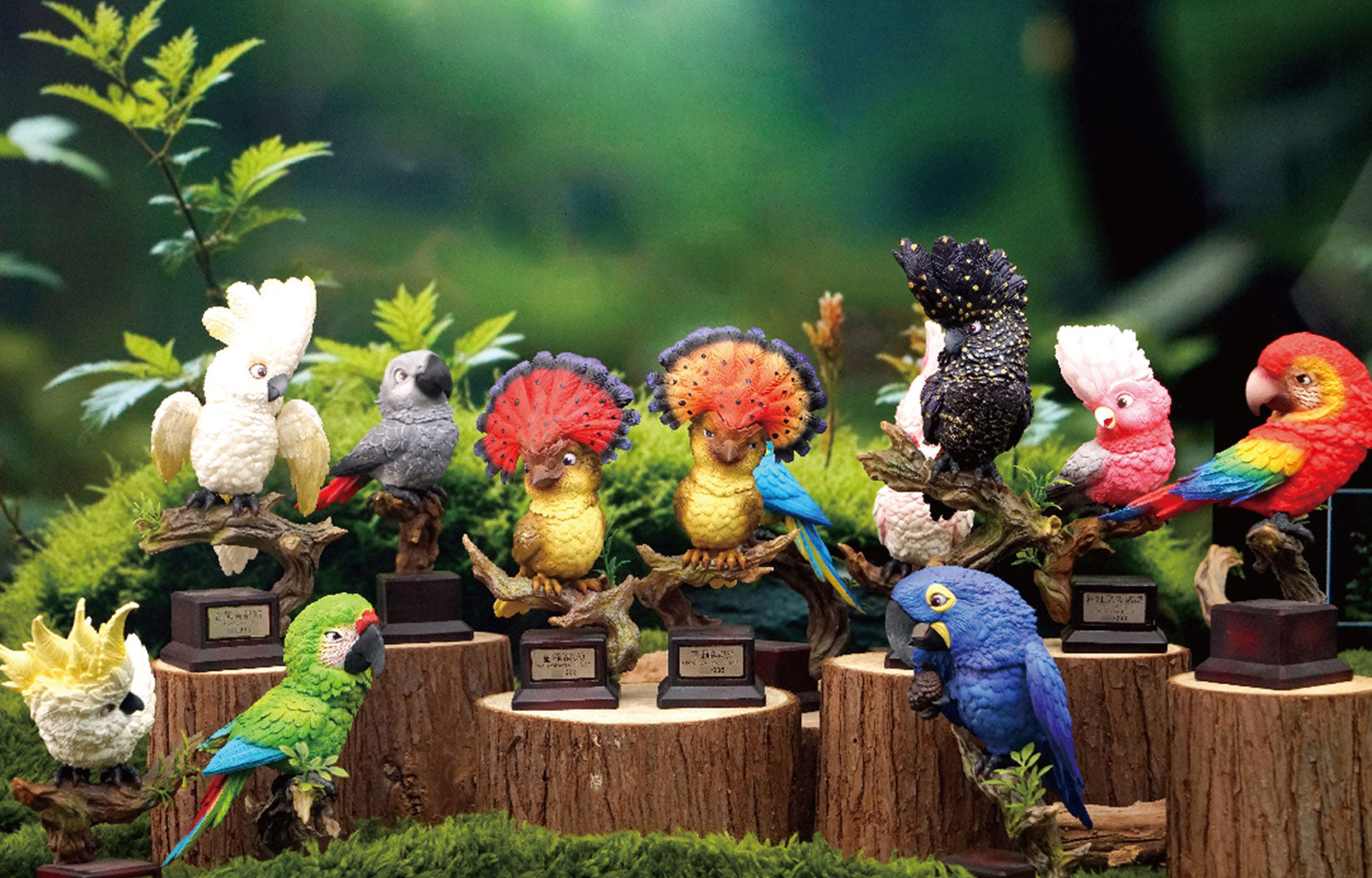 Onychorhynchus Coronatus Model Resin Bird Figure