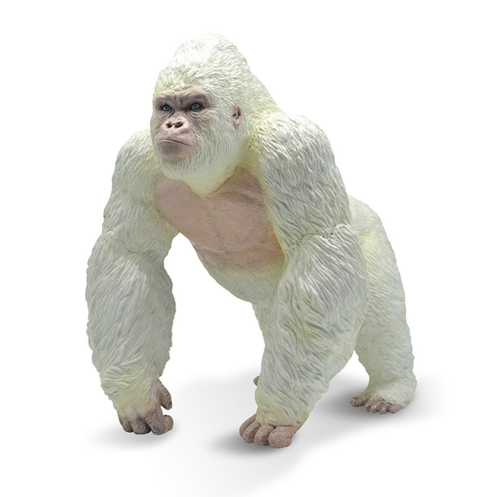 RECUR Gorilla Wild Animal Model