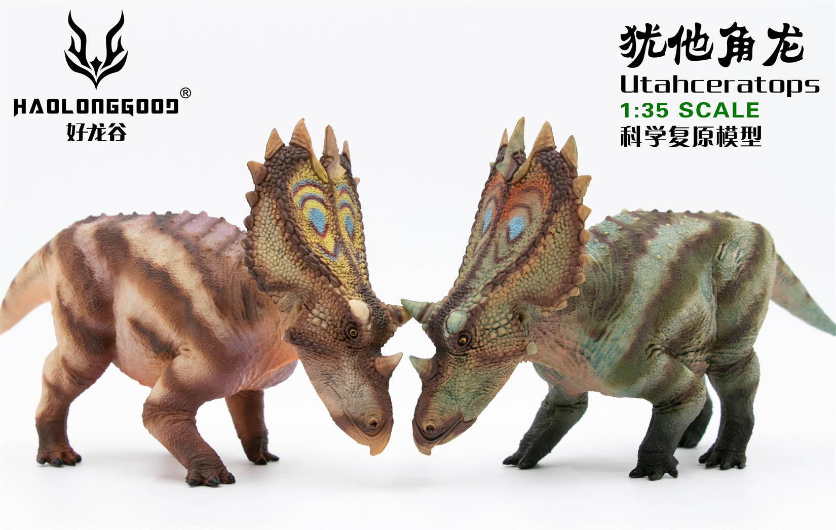 HAOLONGGOOD 1:35 Scale Utahceratops Model