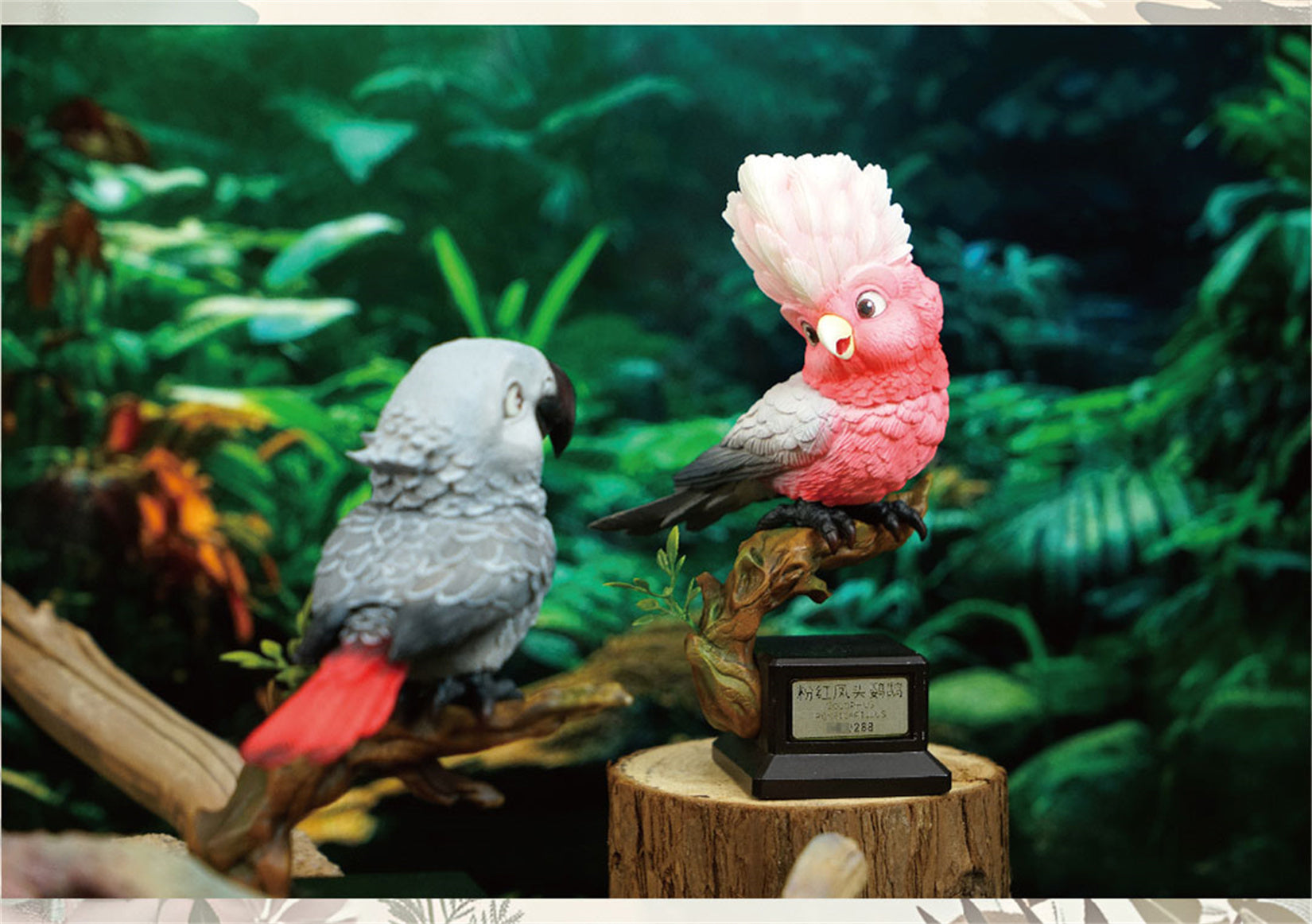 Psittacus Erithacus & Eolophus Roseicapilla Parrot Model