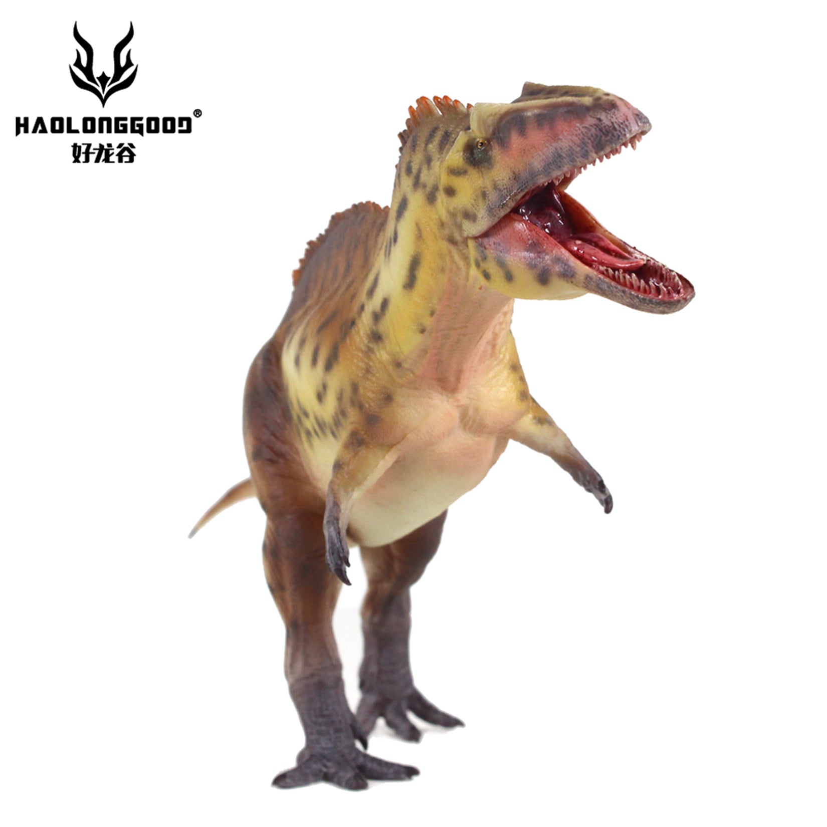 HAOLONGGOOD 1:35 Scale Acrocanthosaurus Model