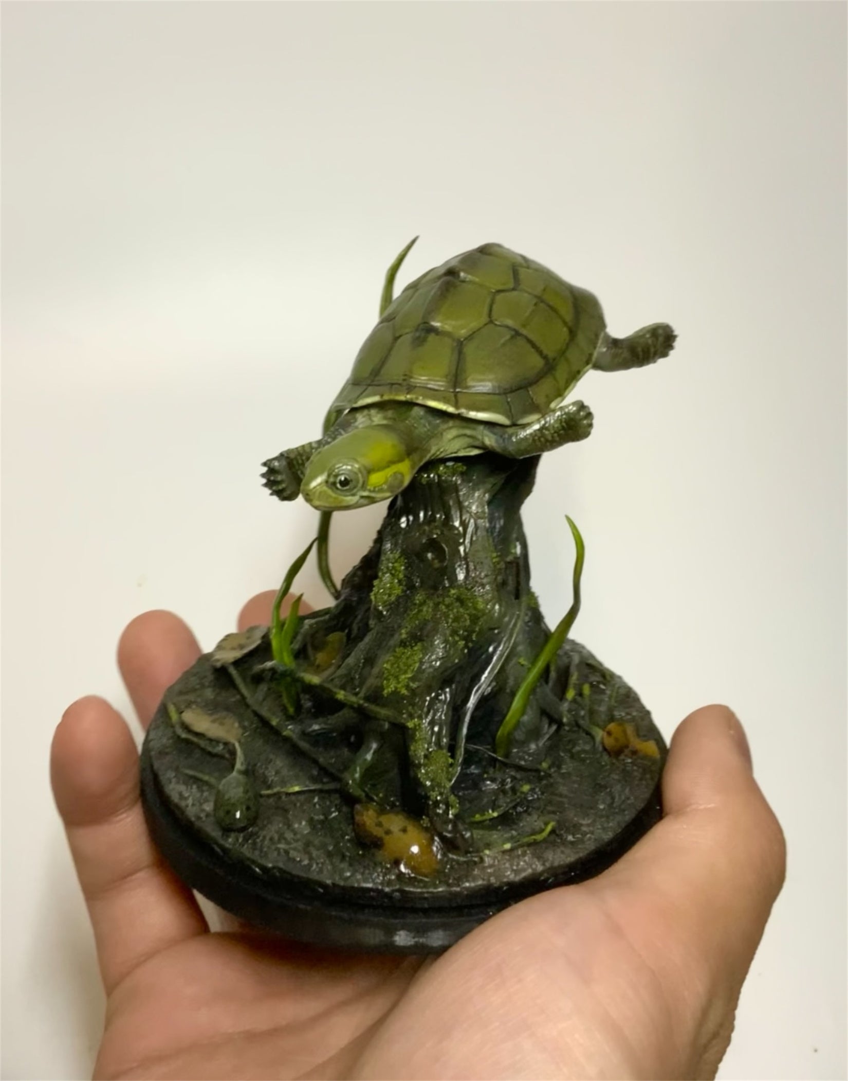 Yellow Pond Turtle Model