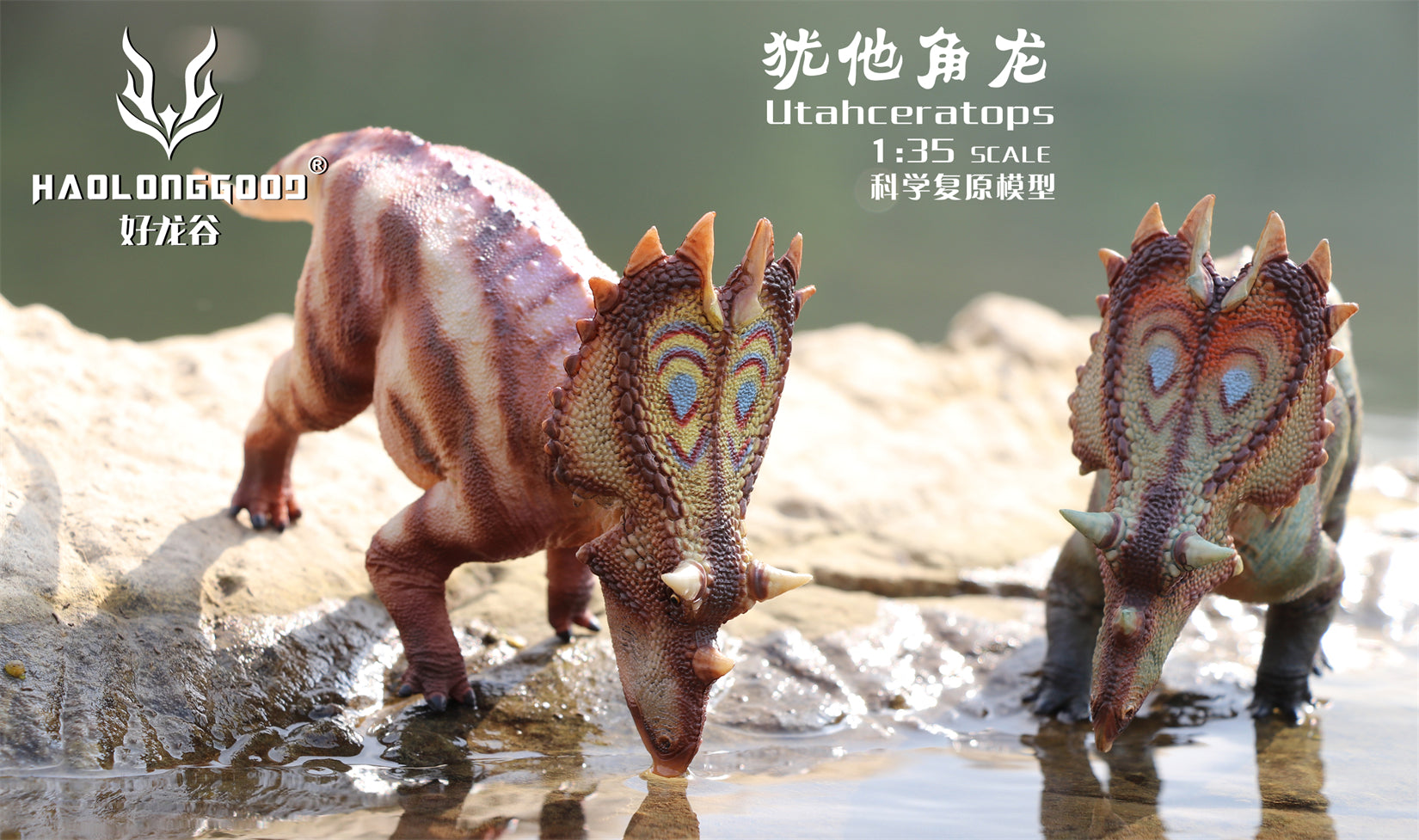 HAOLONGGOOD 1:35 Scale Utahceratops Model