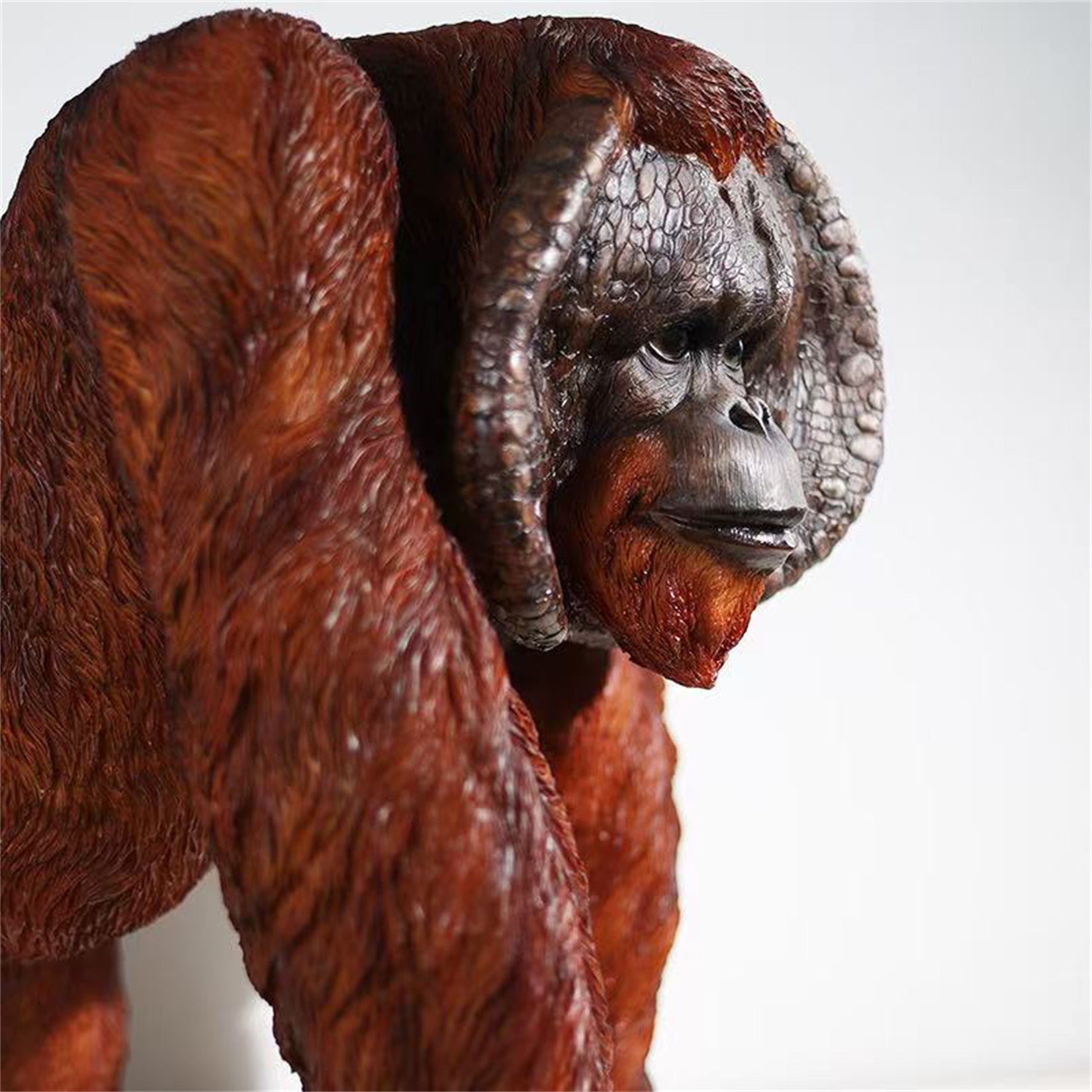 BOWUZHI Studio Sumatra-Orang-Utan-Modell im Maßstab 1:6