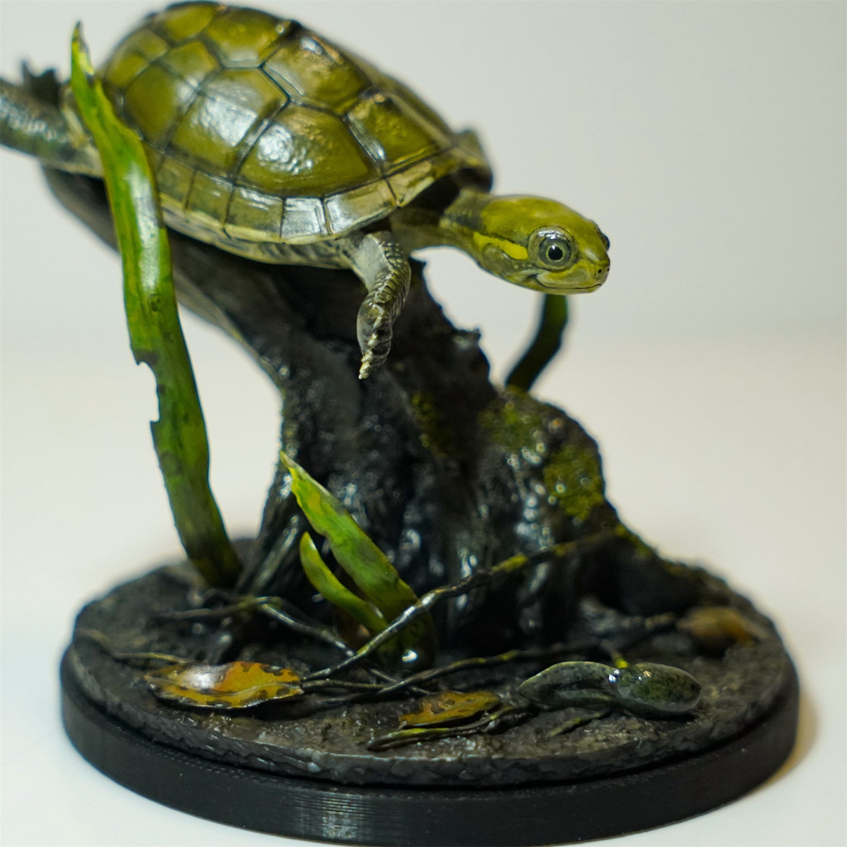 Yellow Pond Turtle Model