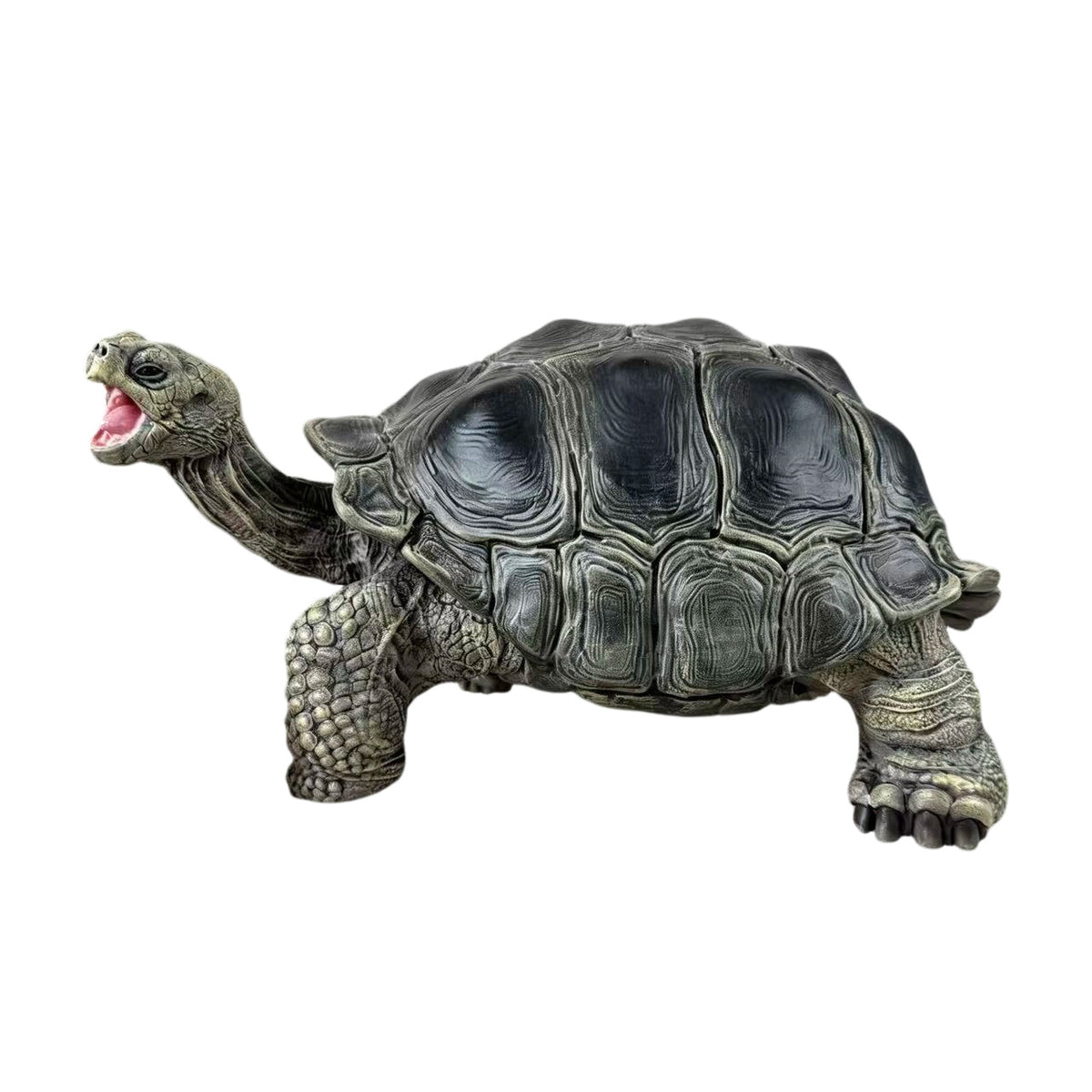 BOWUZHI Studio Chelonoidis Galapagoensis Turtle Model
