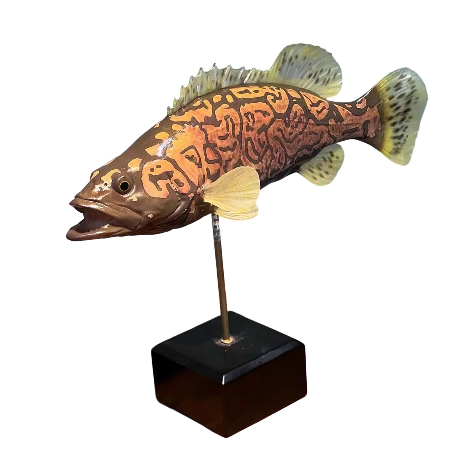 Modèle 3D de Siniperca Scherzeri