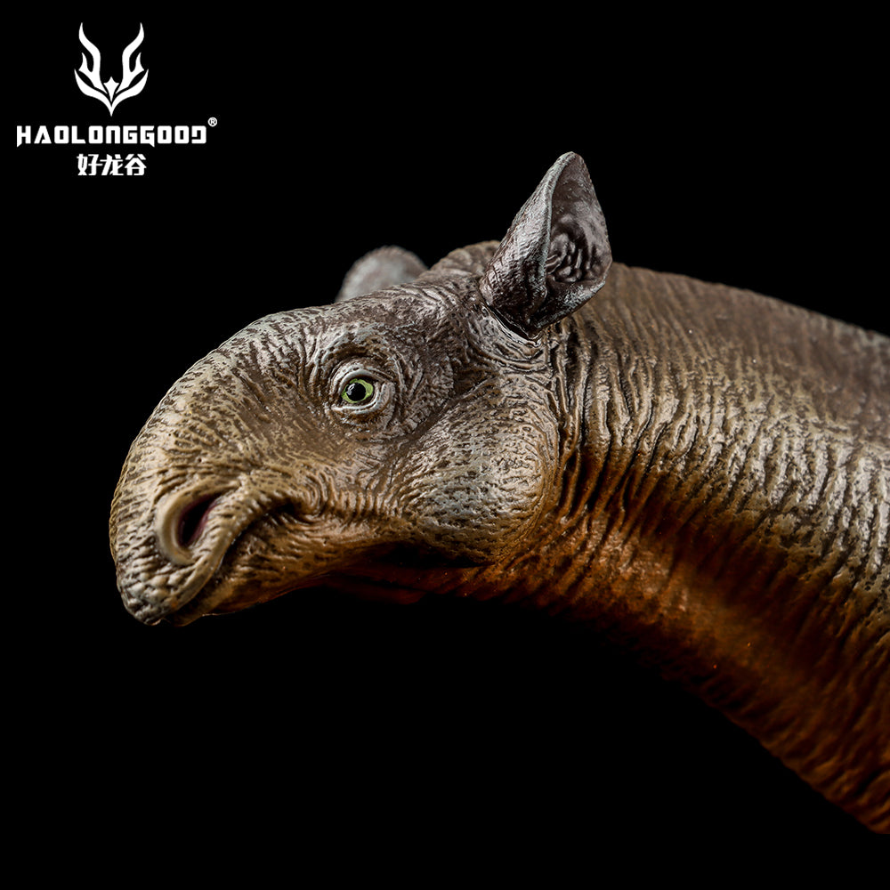 HAOLONGGOOD 1:35 Scale Paraceratherium Model