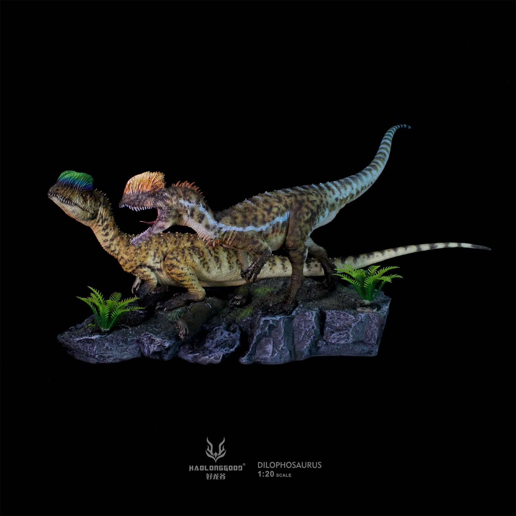 HAOLONGGOOD 1:20 Scale Dilophosaurus Pair Model