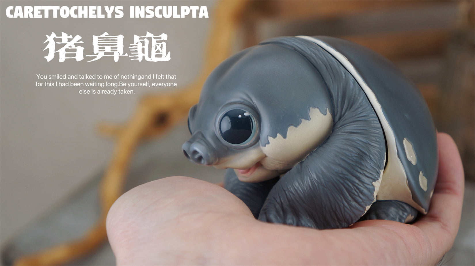 Schildkröten-Serie Tiermodell