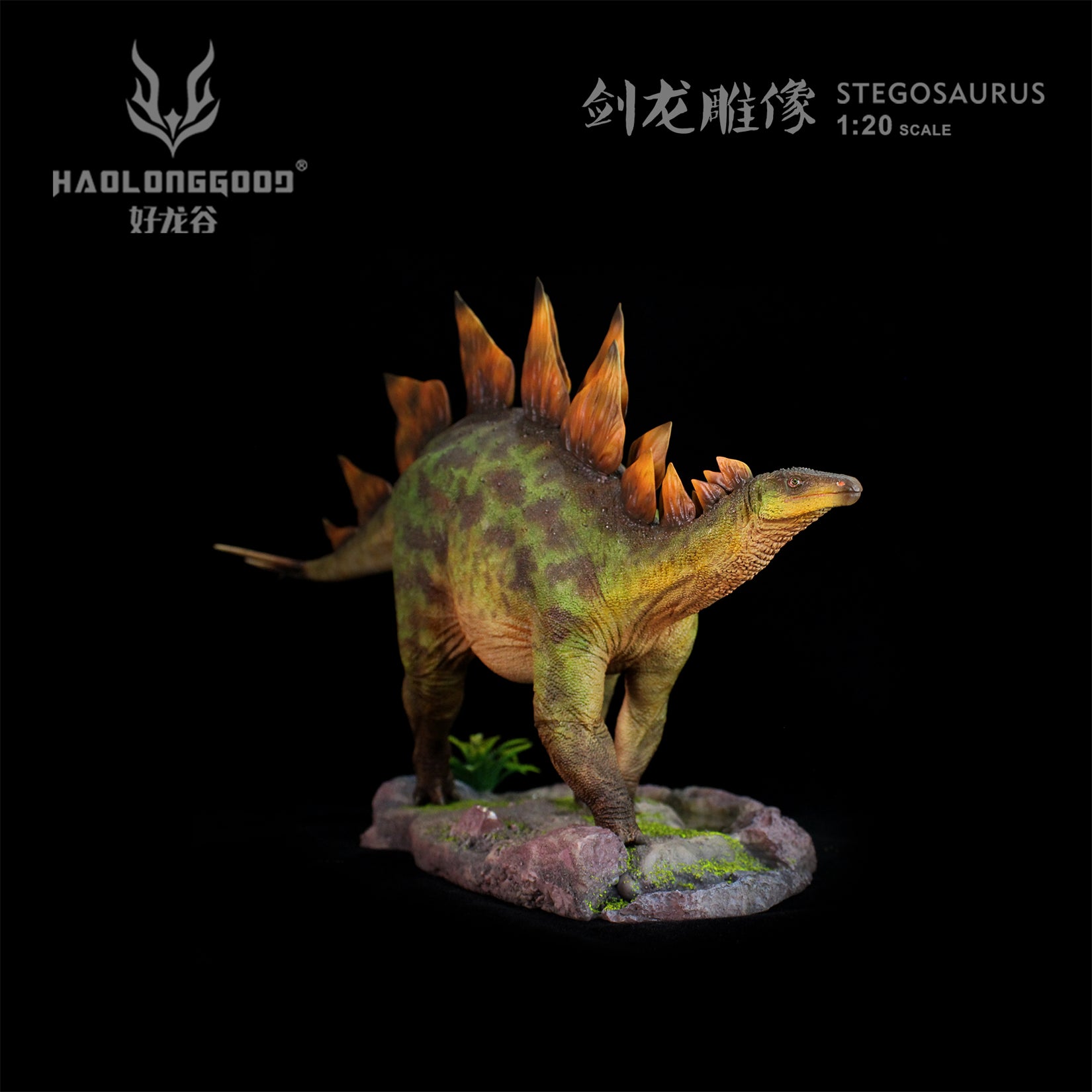 HAOLONGGOOD 1:20 Scale Stegosaurus Model