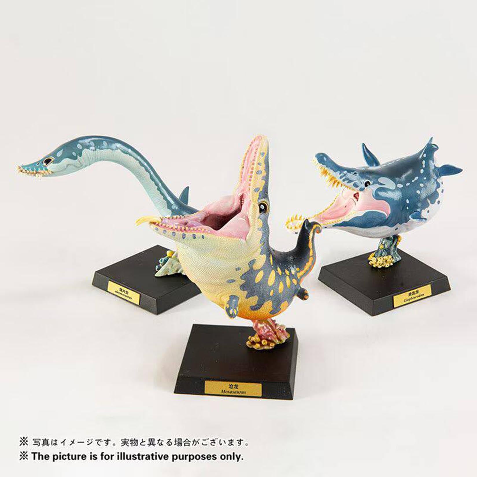 Animal Heavenly Body Elasmosaurus Mosasaurus Liopleurodon Model
