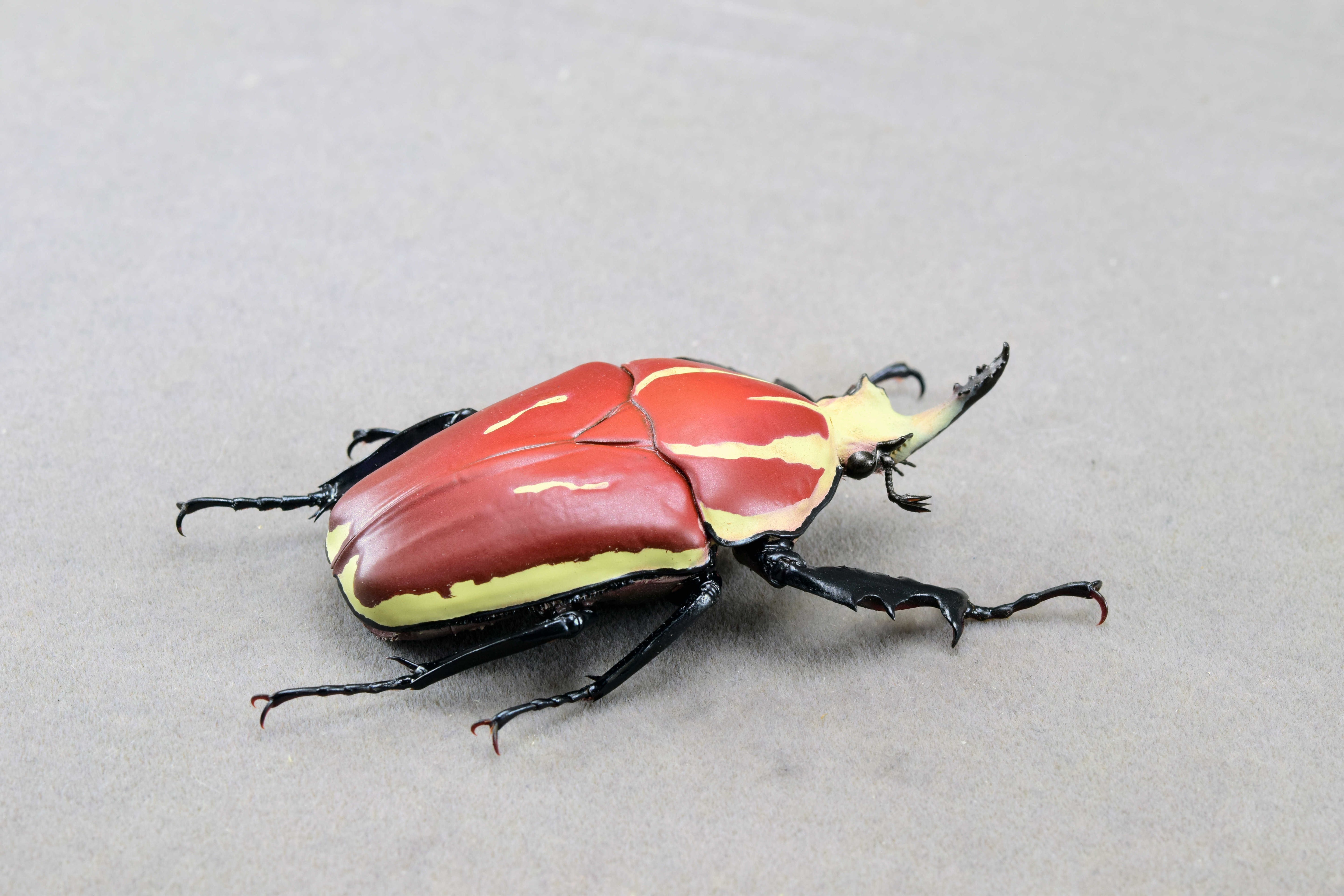 Wunderschöne Chemiepuppe im Maßstab 1:6