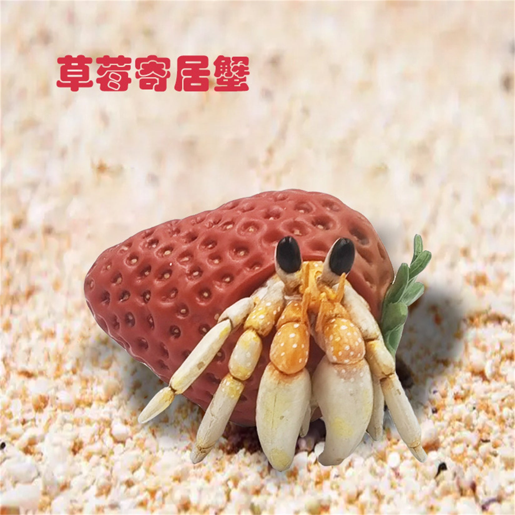Coenobita Perlatus Model Crab Animal Figure