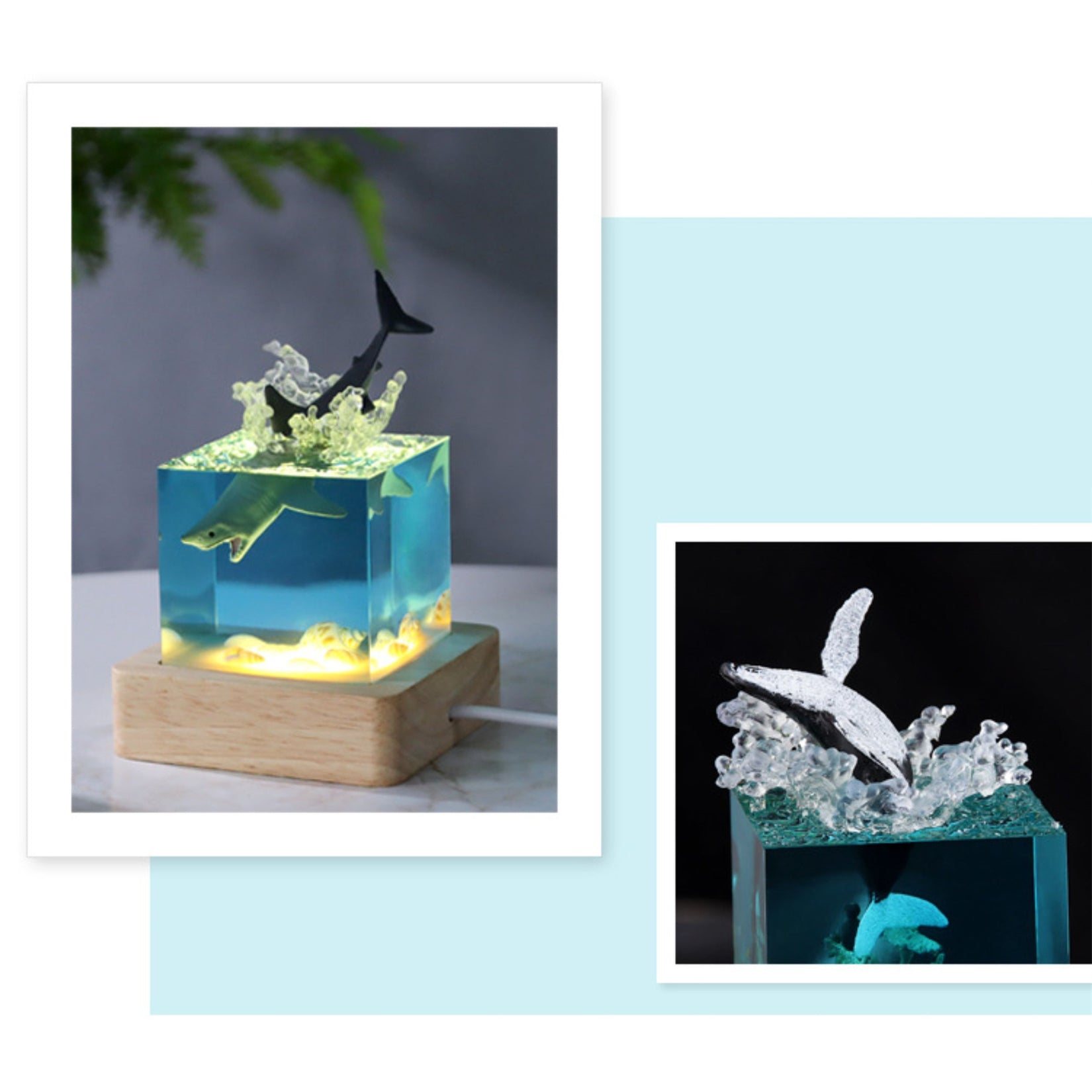 Marine Animal Minimize Scene Unique Design