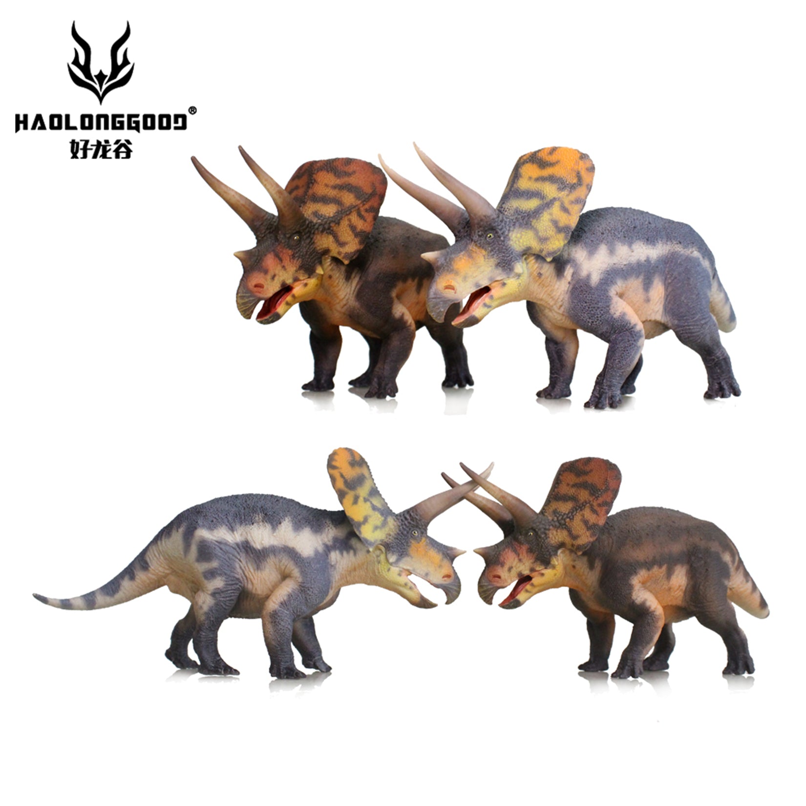 HAOLONGGOOD 1:35 Scale Torosaurus Model