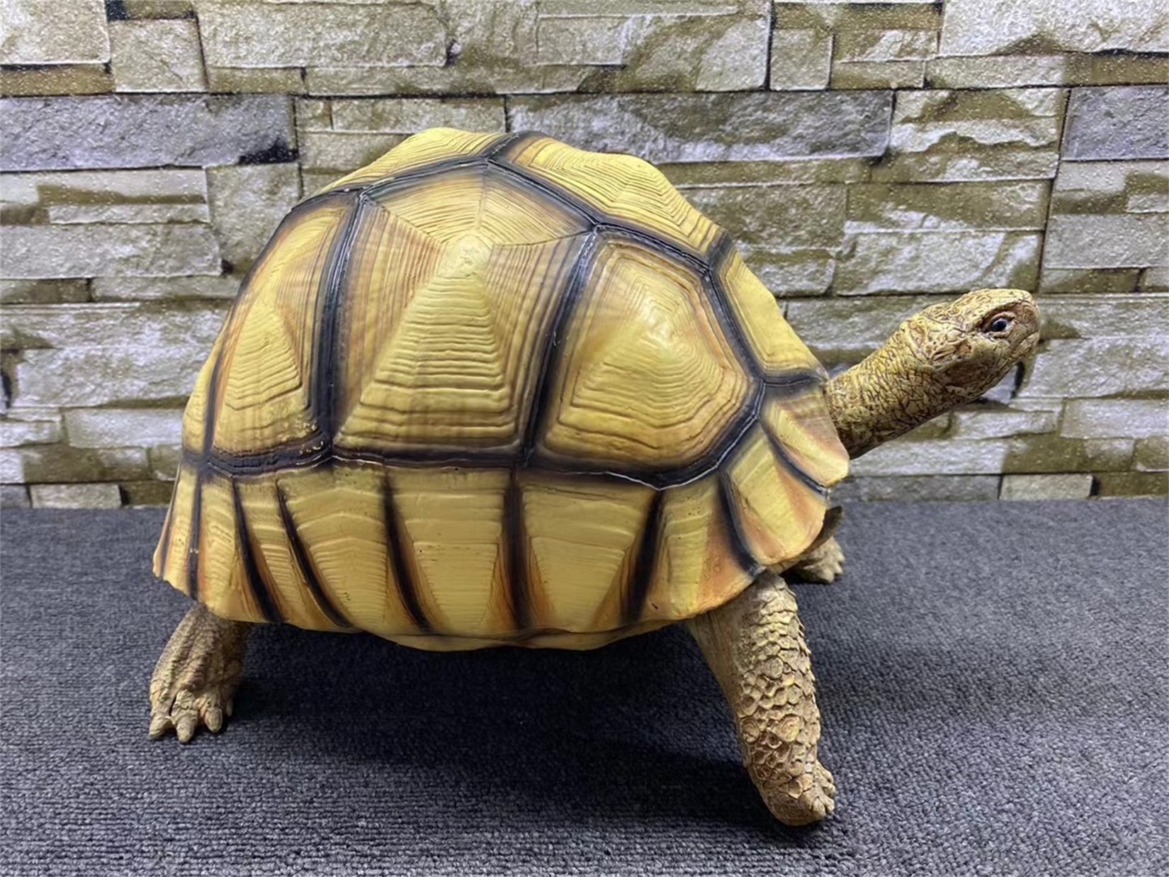 Astrochelys Yniphora Model