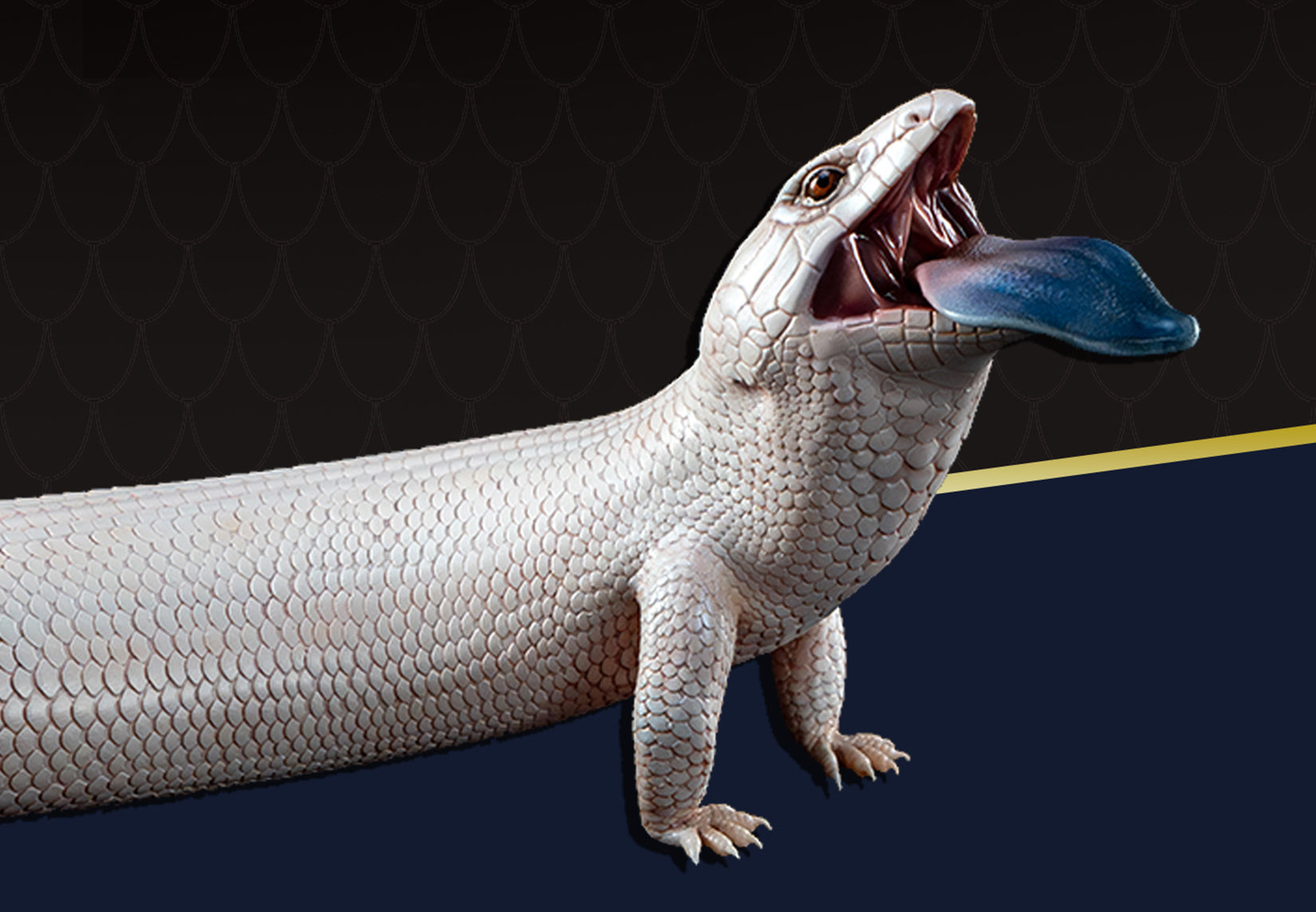 Common Bluetongue Model