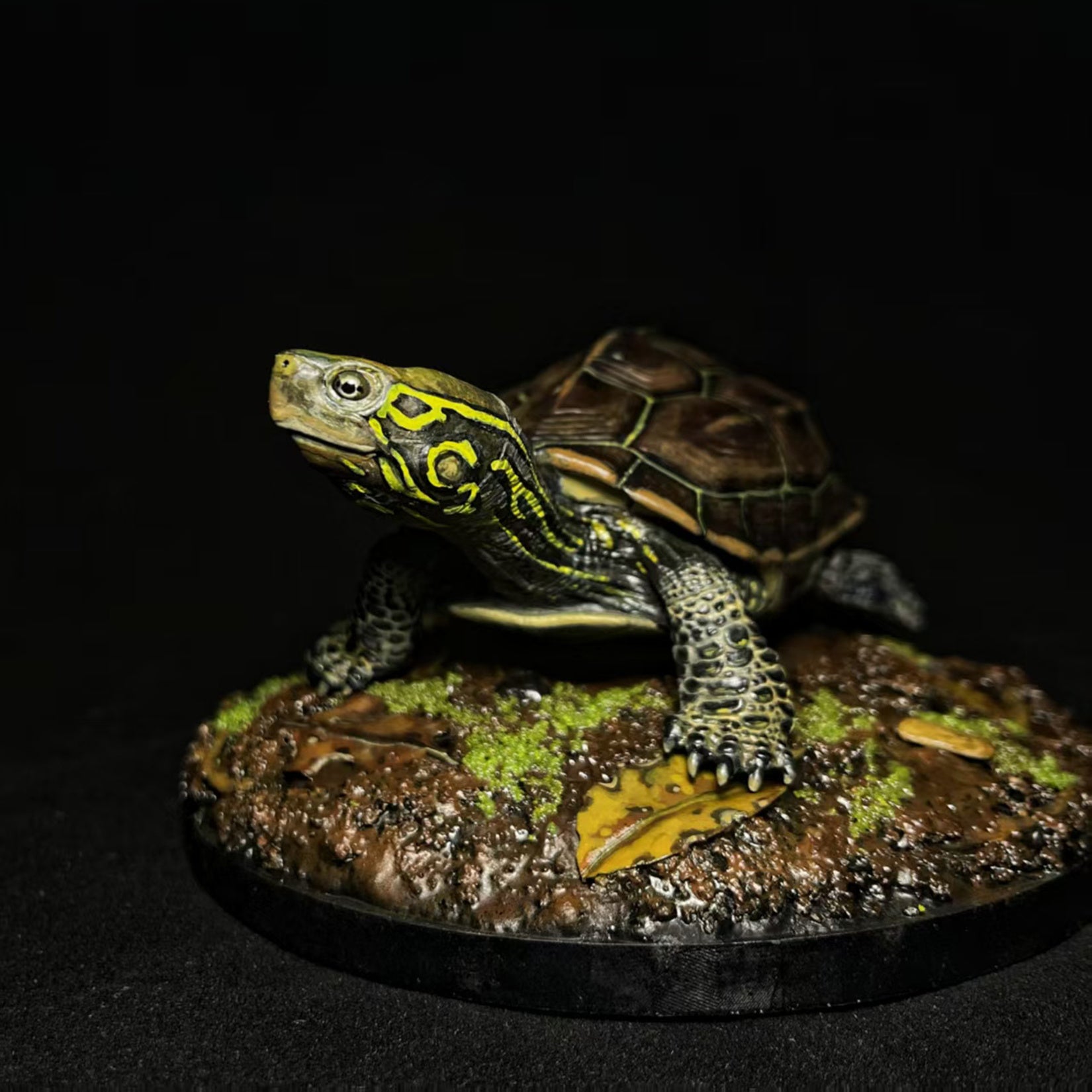 Großköpfiges Schildkrötenmodell