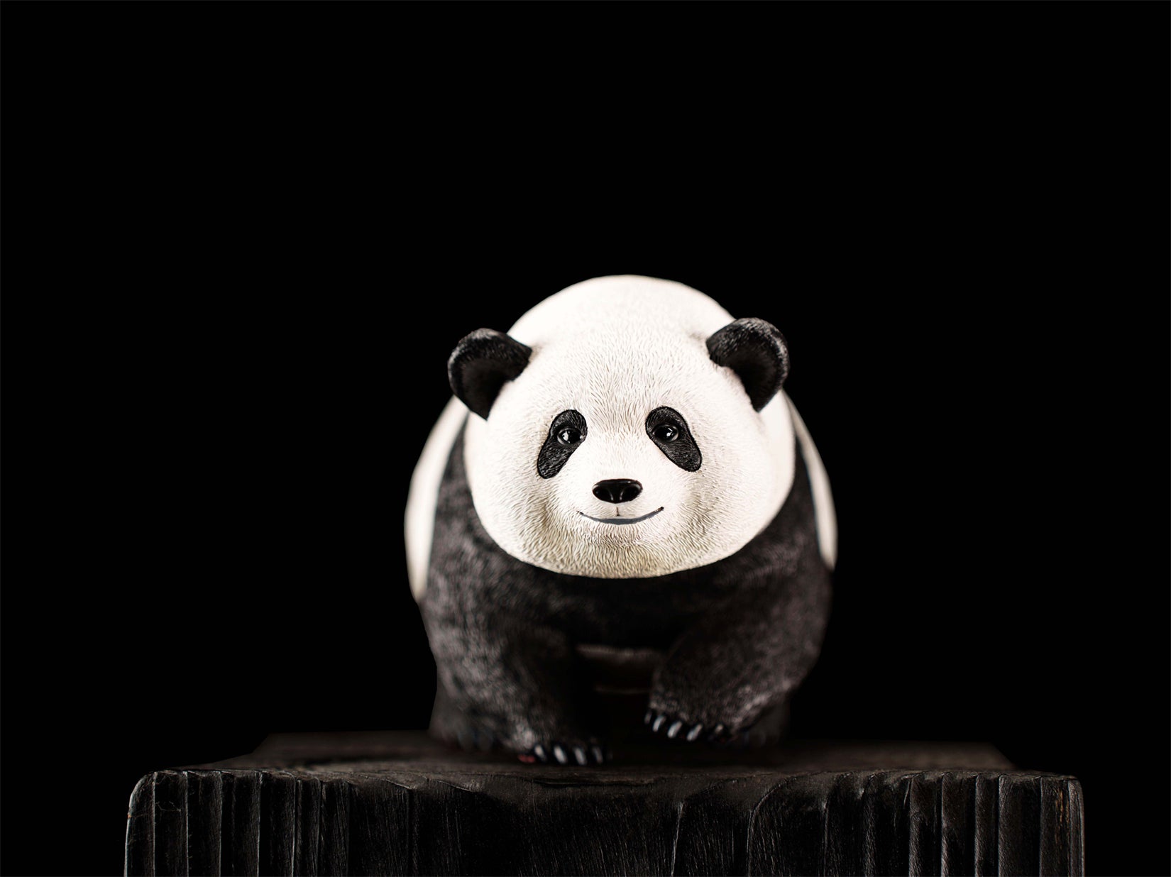 Schildkröten-Serie Tiermodell