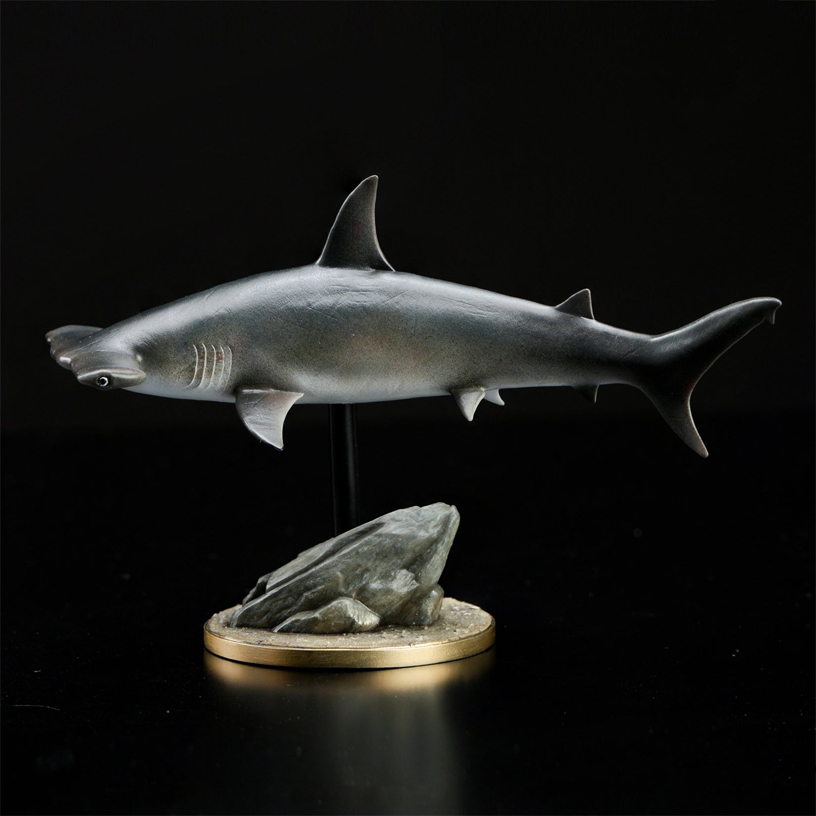 Great Hammerhead Model