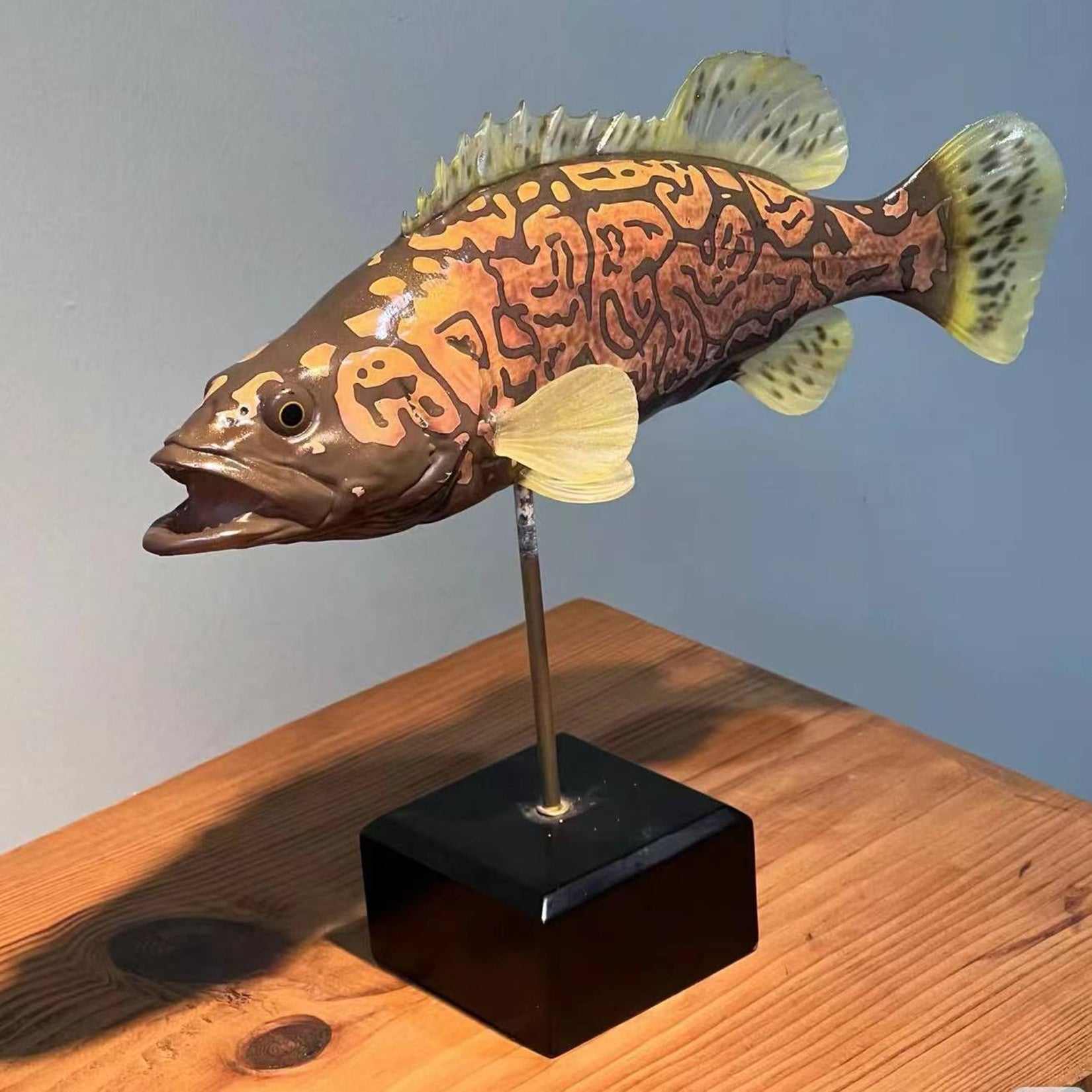 Modèle 3D de Siniperca Scherzeri