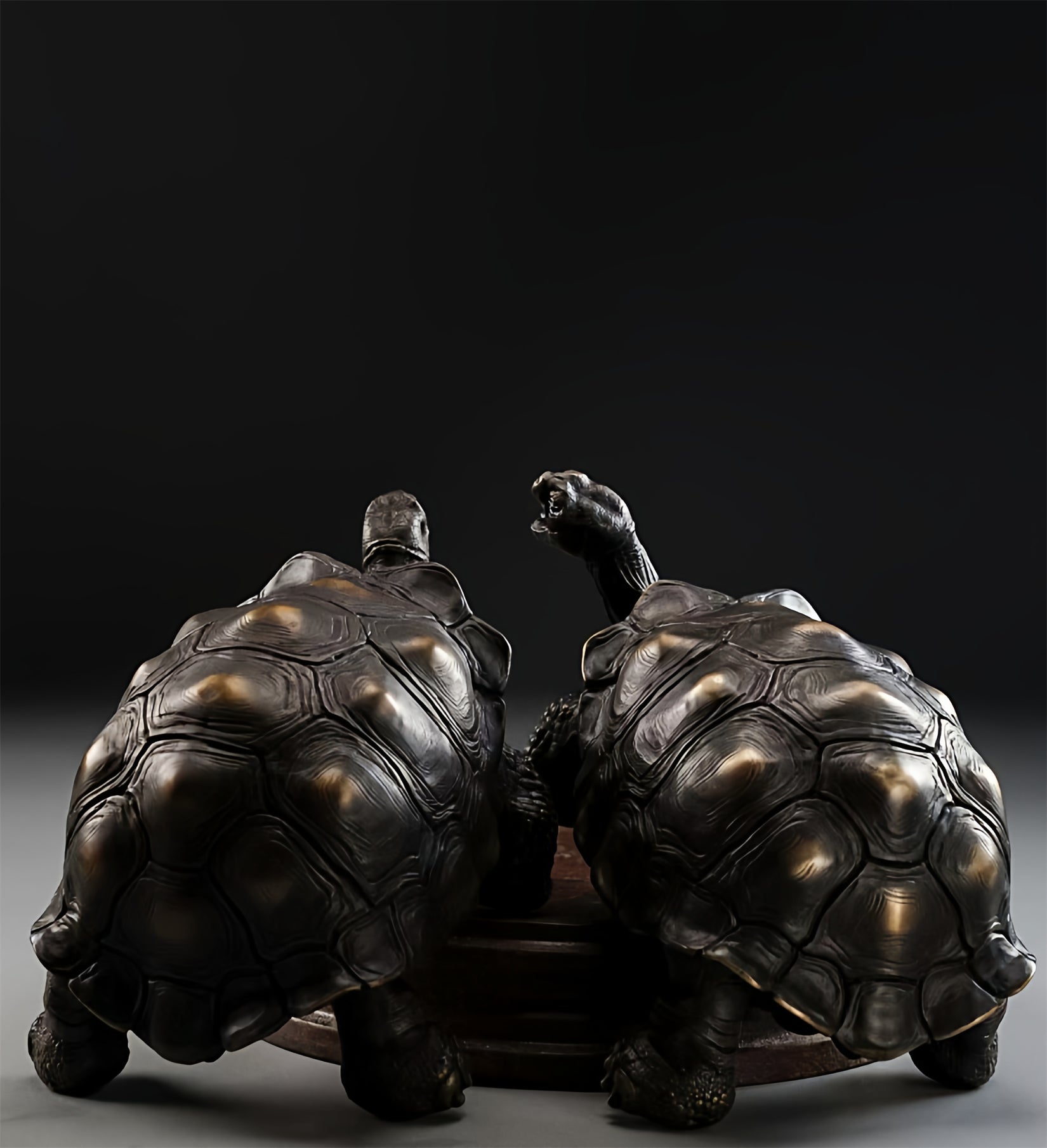 BOWUZHI Studio Plus Chelonoidis Galapagoensis Model