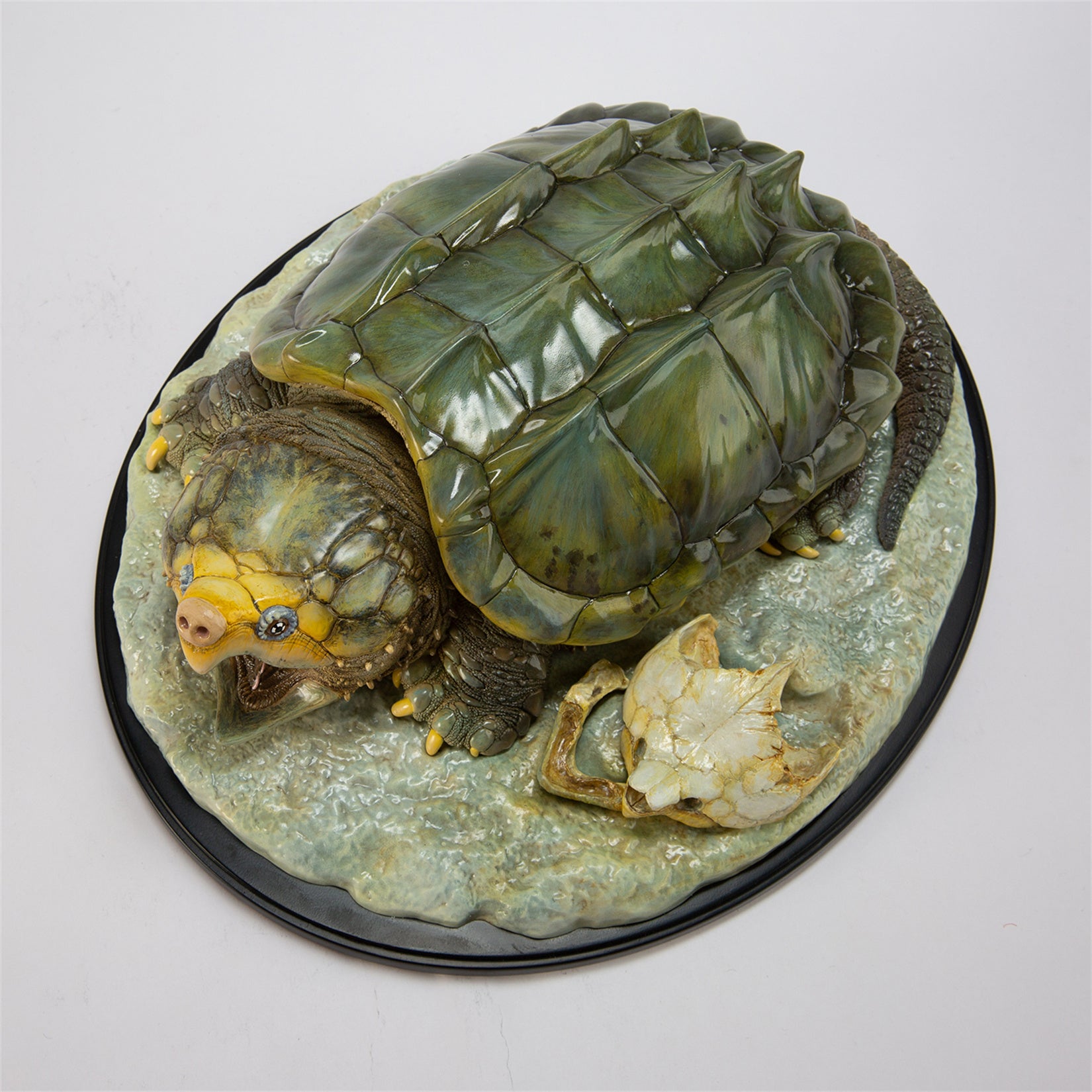 Animal Heavenly Body Plus Alligator Snapping Turtle Figurine