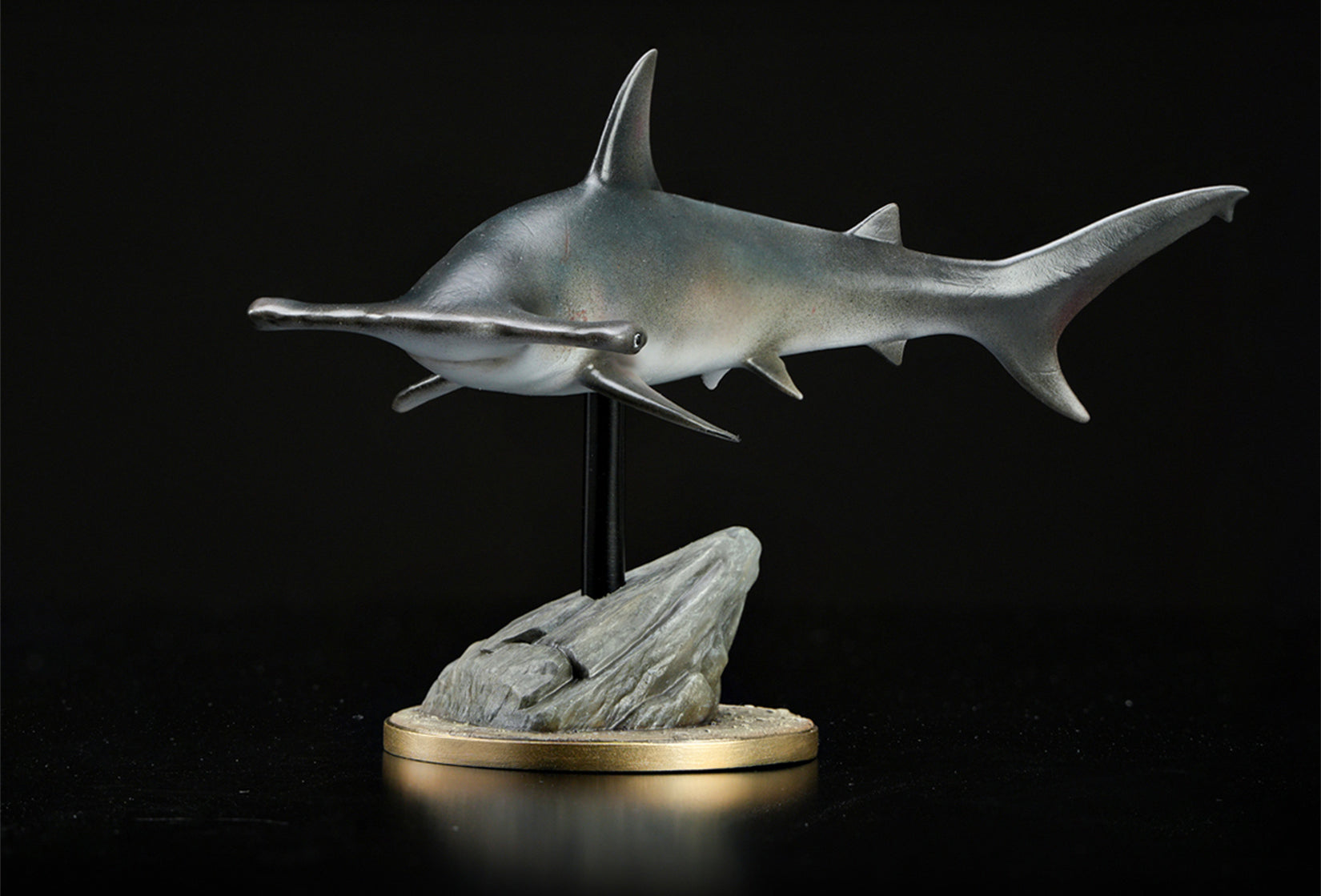 Great Hammerhead Model