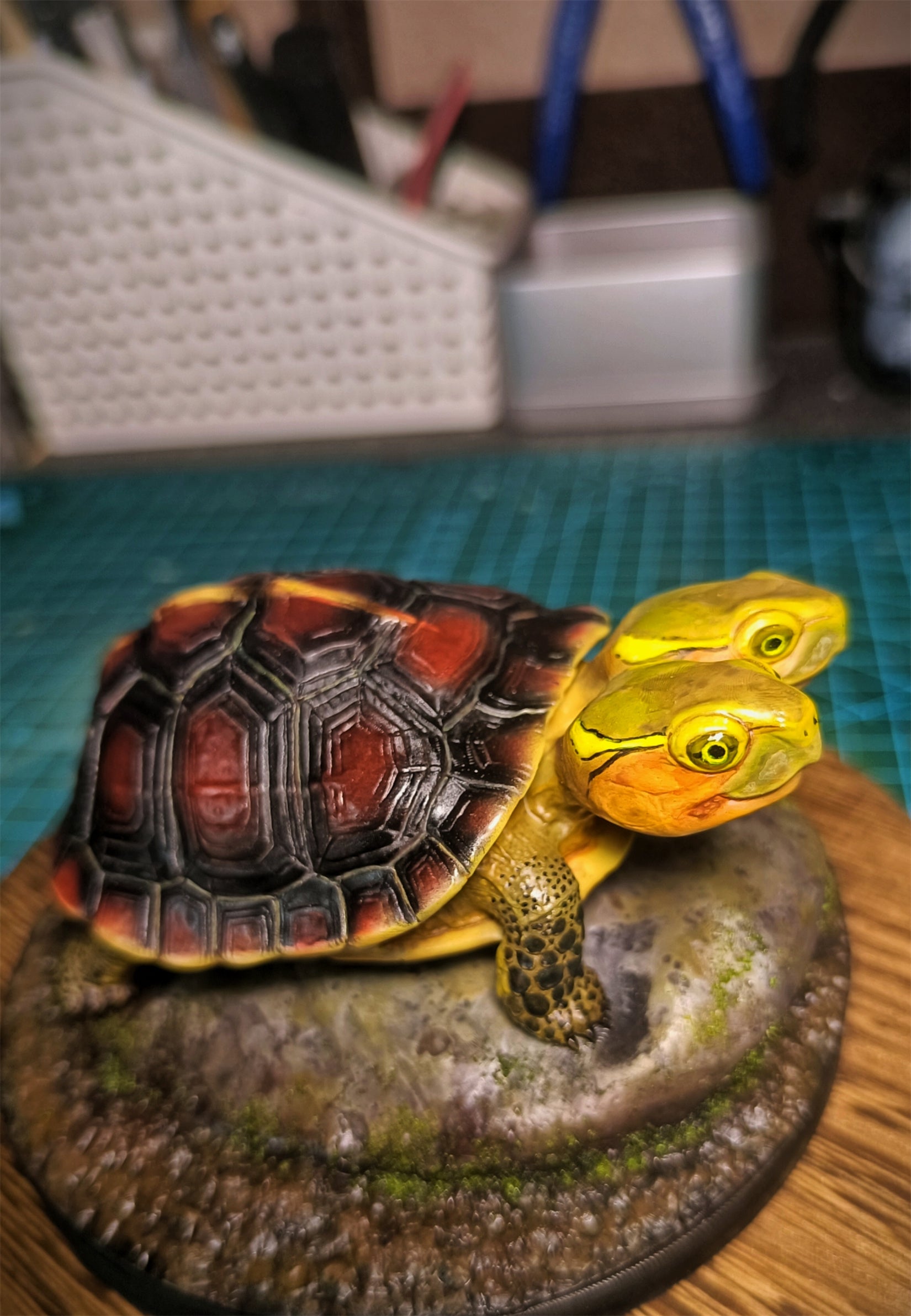 Two-headed Yellow-margined Box Turtle Model