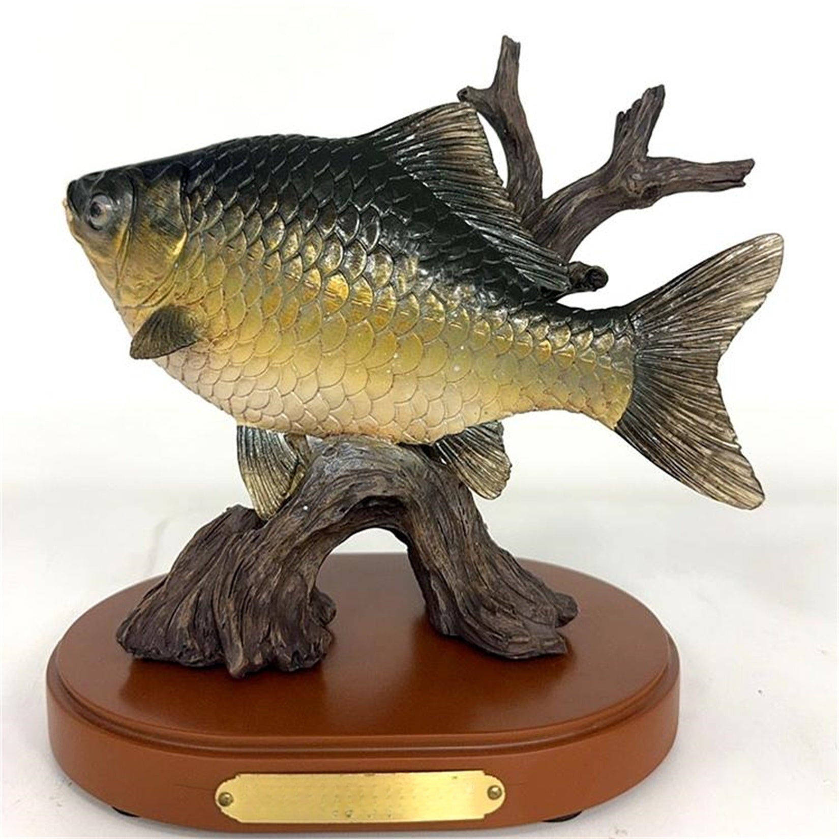 1:2 Scale Common Carp Model Fish Animal Figure Decor