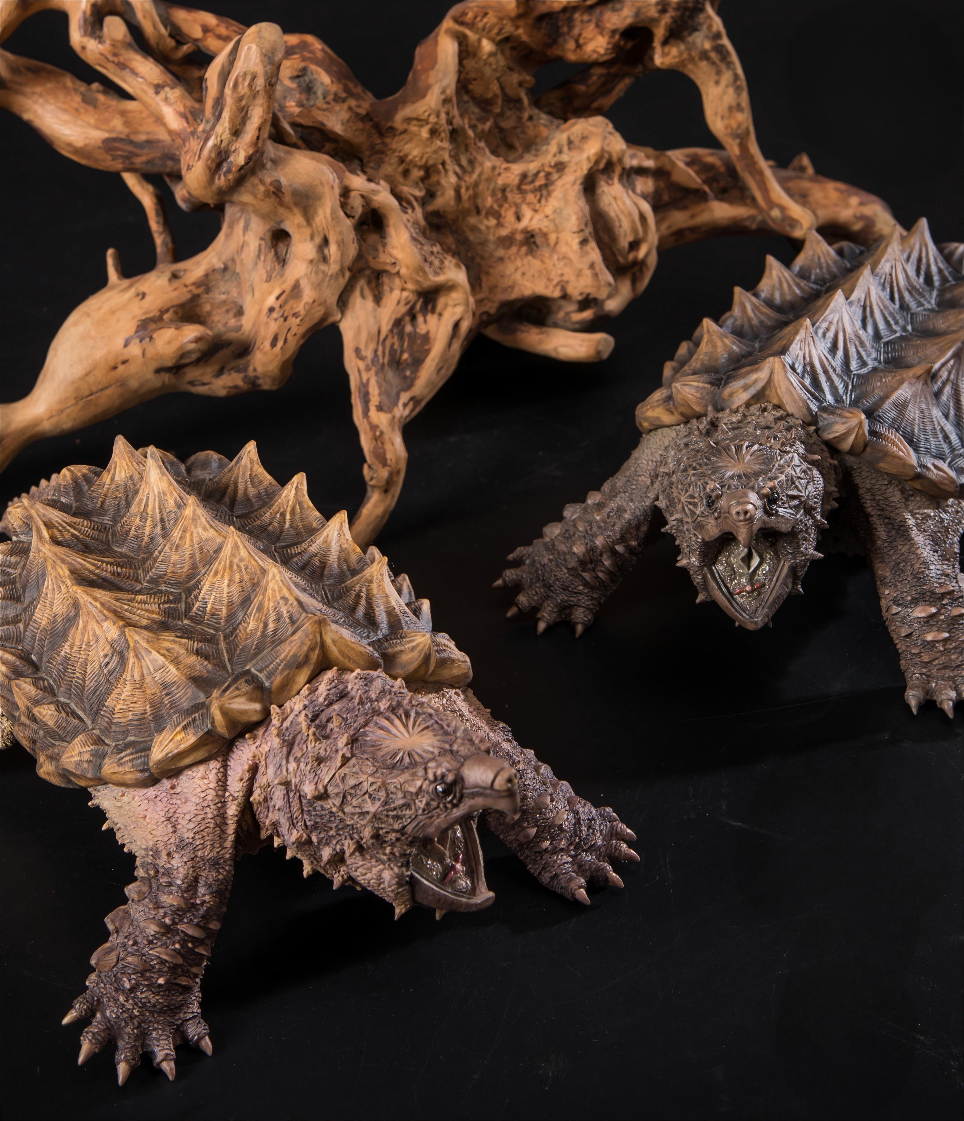 Macrochelys Temminckii Figure