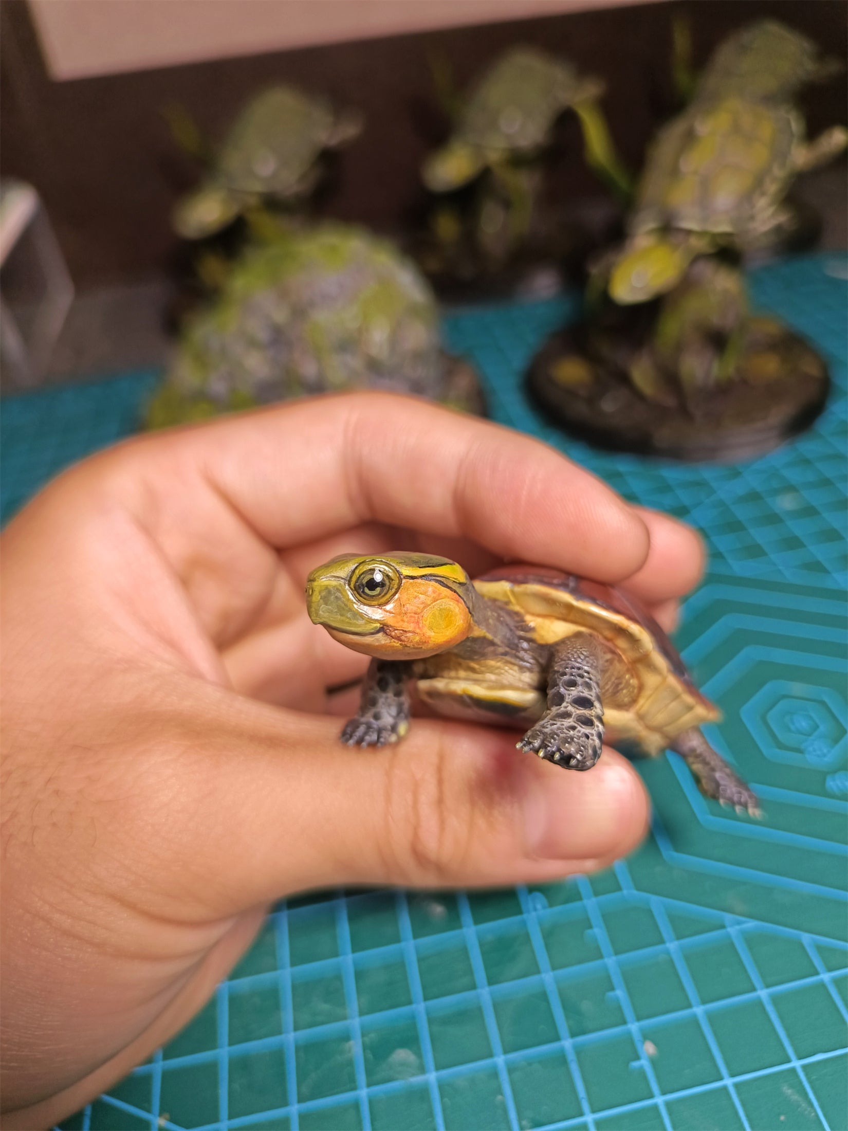 Yellow-margined Box Turtle Baby Model