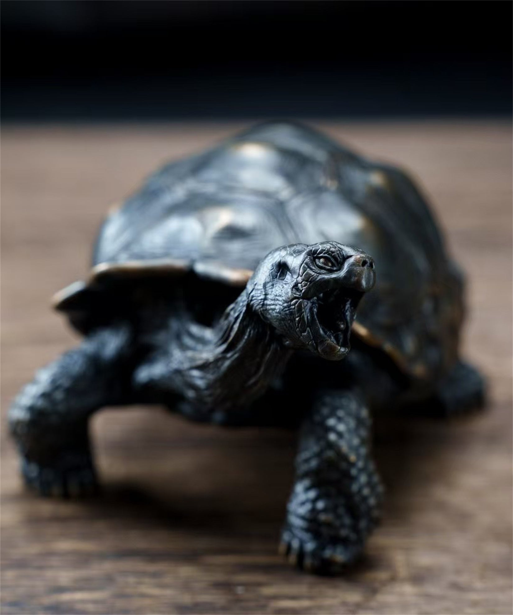 BOWUZHI Studio Chelonoidis Niger Model