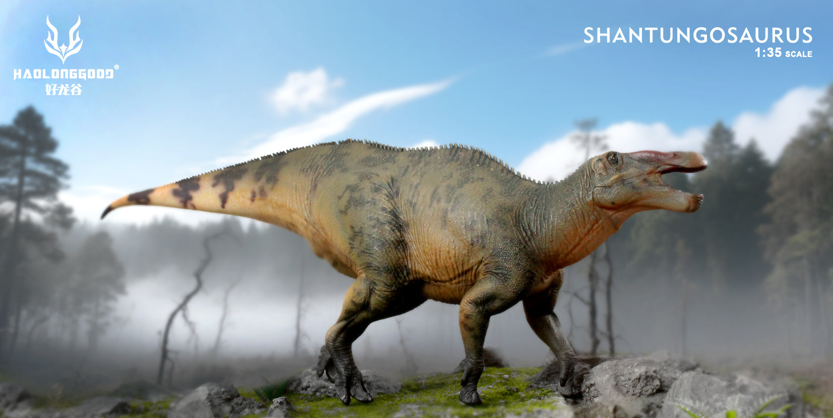 HAOLONGGOOD 1:35 Scale Shantungosaurus Model