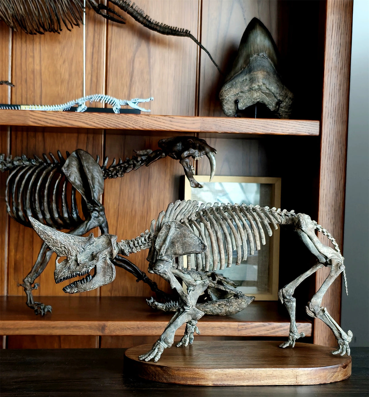 3D Printed 1:18 Scale Arsnoitherium Skeleton Model