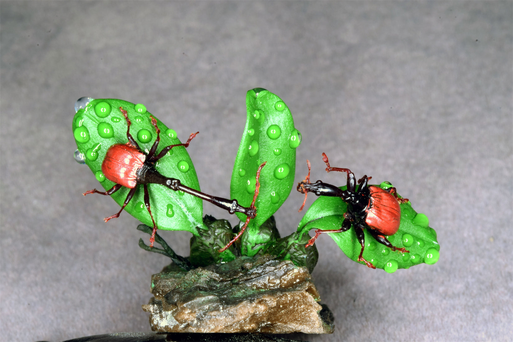 Trachelophorus Giraffa Insect Model