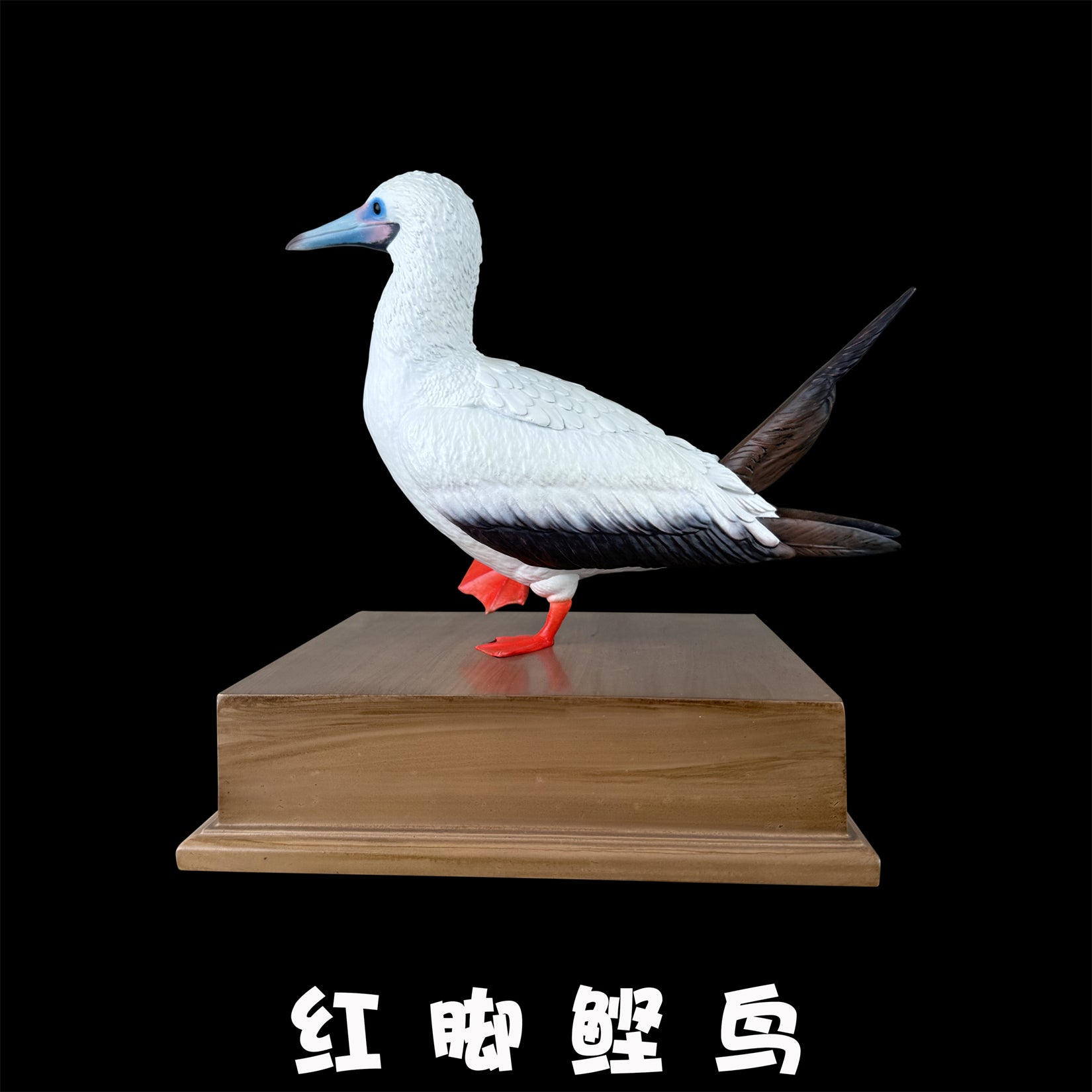 BOWUZHI Studio Red-Footed Booby Bird Figurine