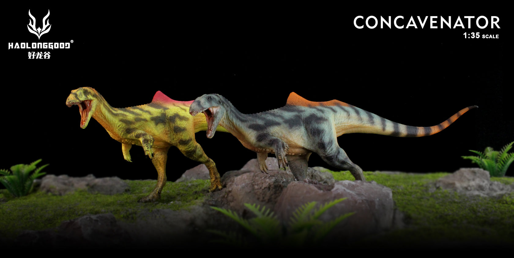 HAOLONGGOOD 1:35 Scale Concavenator Model